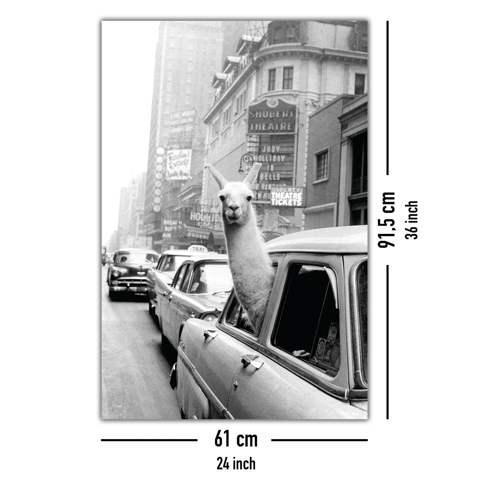 A Llama in Times Square Poster - Image 5