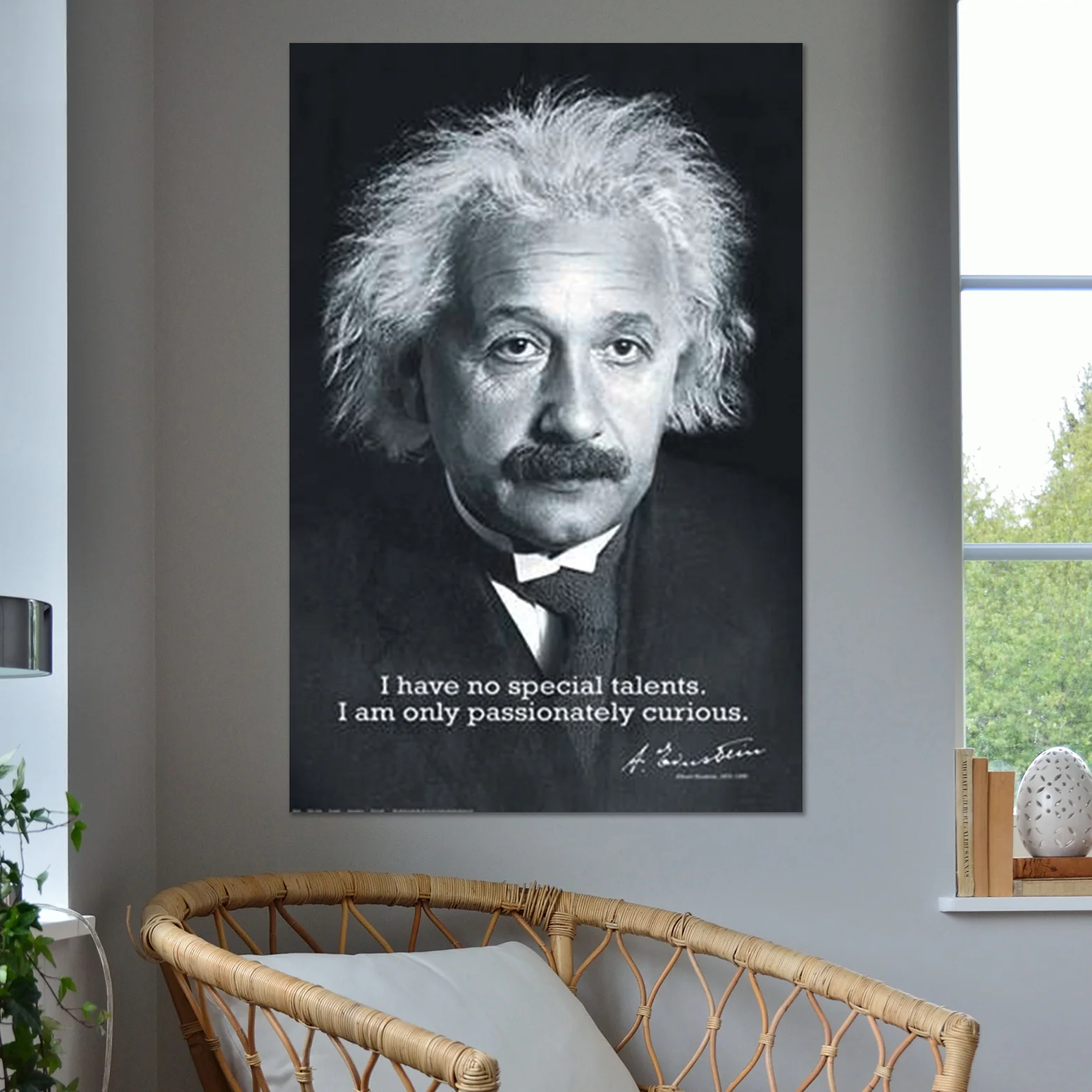 Albert Einstein Poster I Have no Special Talents.. - Image 3