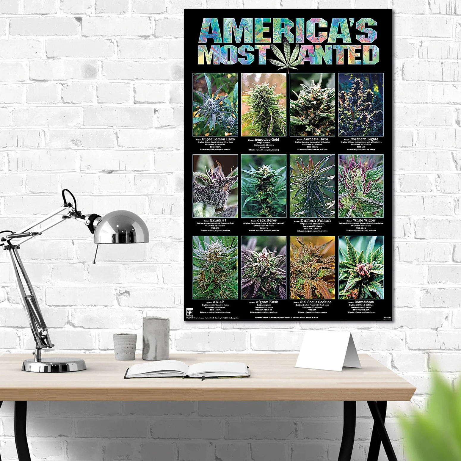 America's Most Wanted Poster Marihuana Sorten - Image 3