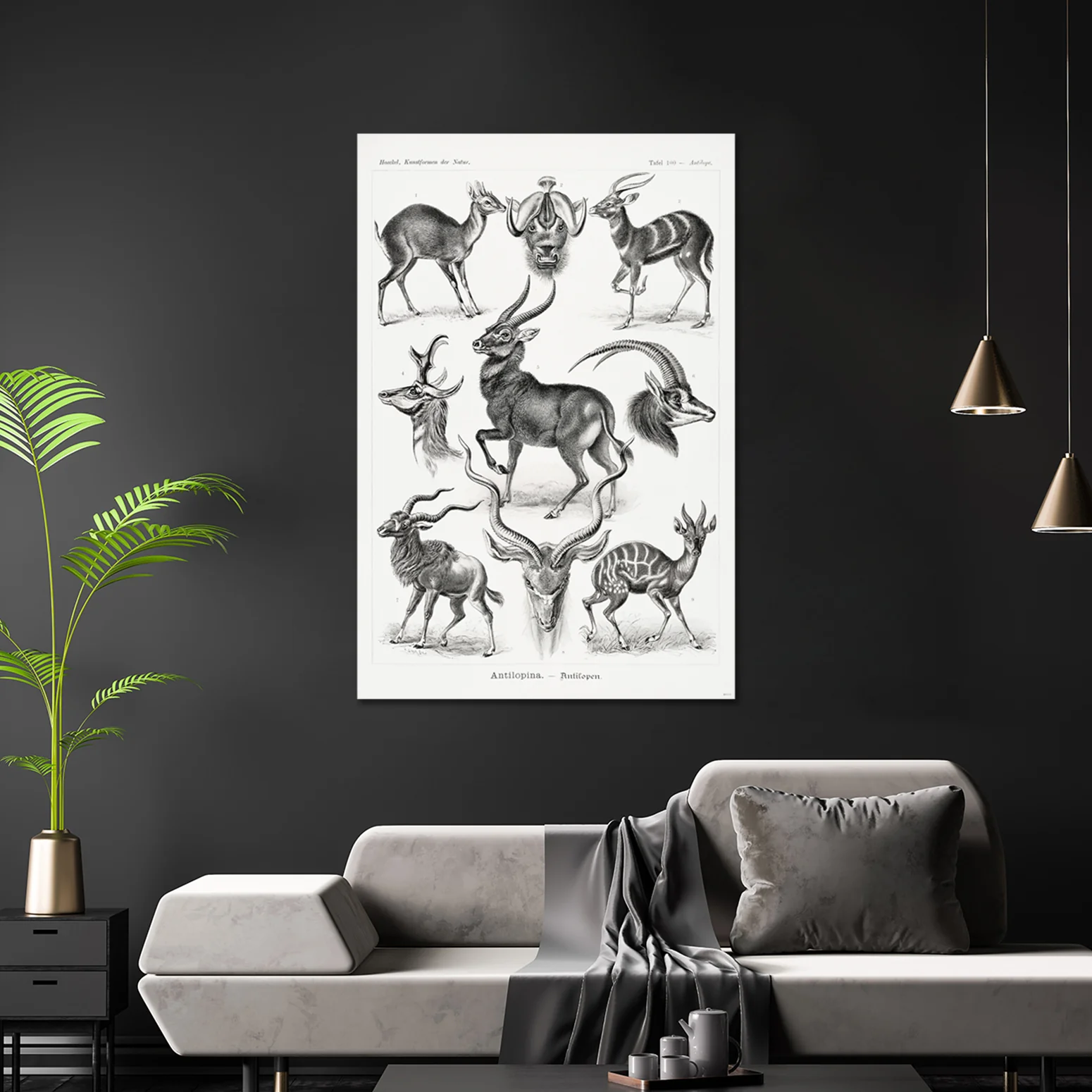 Antilopen Poster Ernst Haeckel Kunstformen der Natur - Image 3