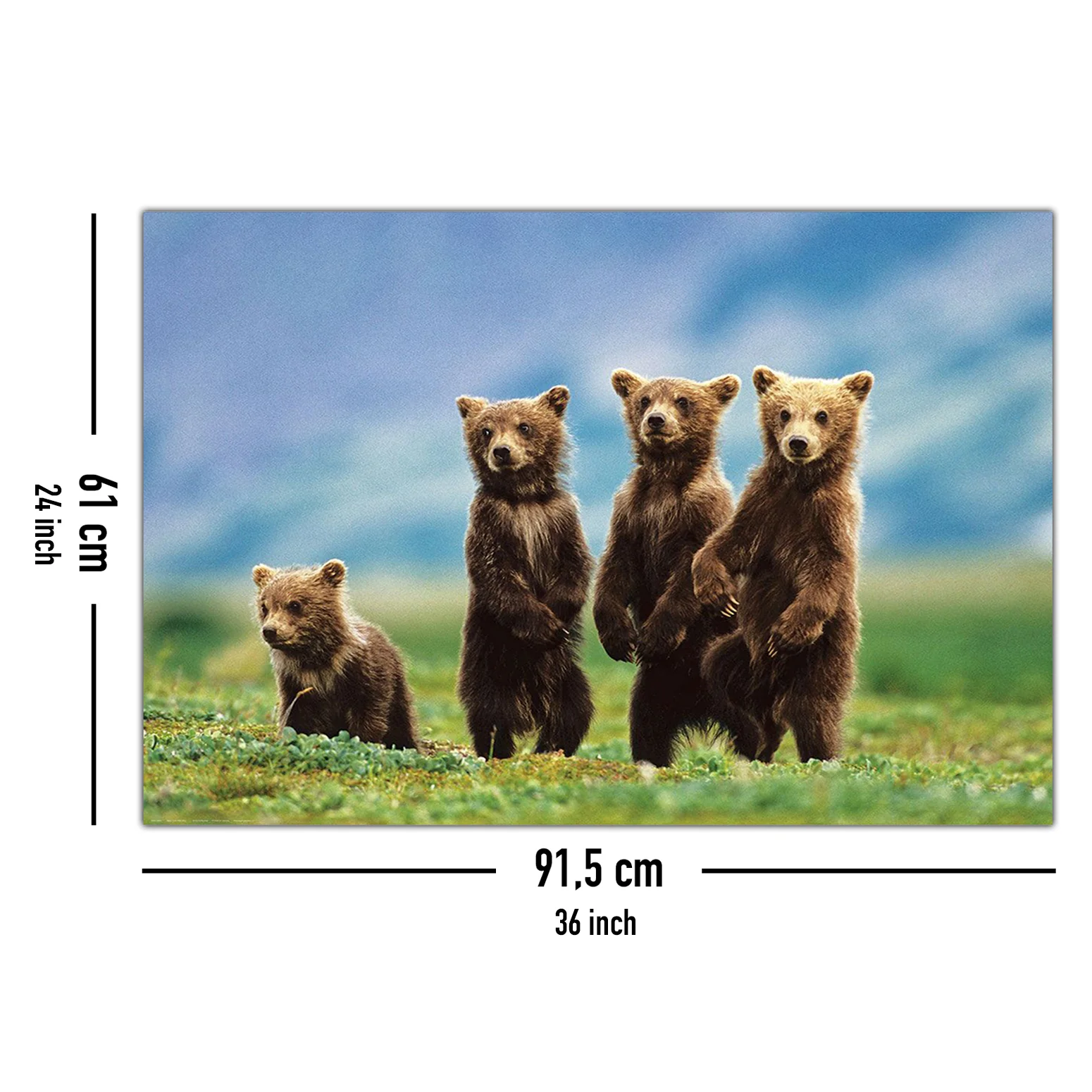 Bear Cubs Poster Bärenjungen - Image 5