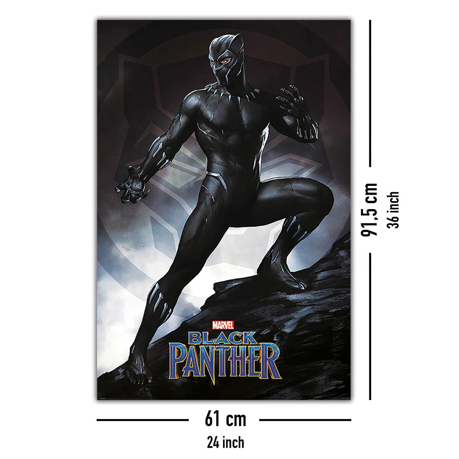 Black Panther Poster Stance - Image 5