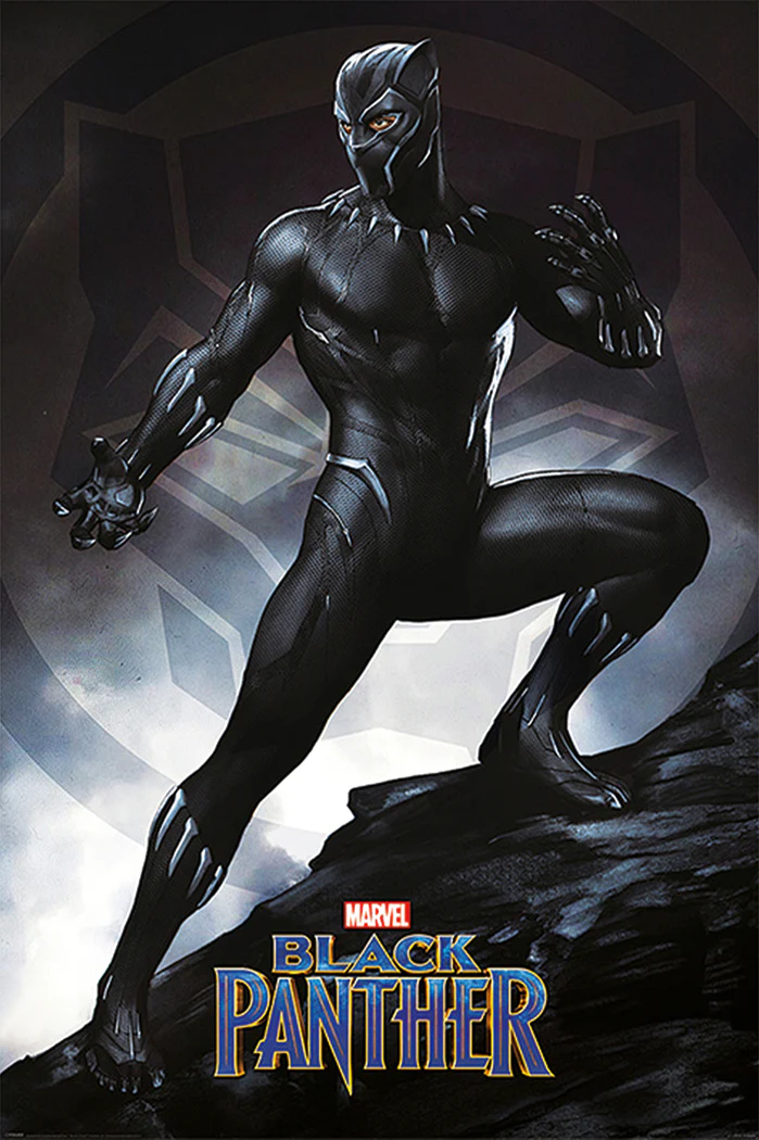 Black Panther Poster Stance - Image 6