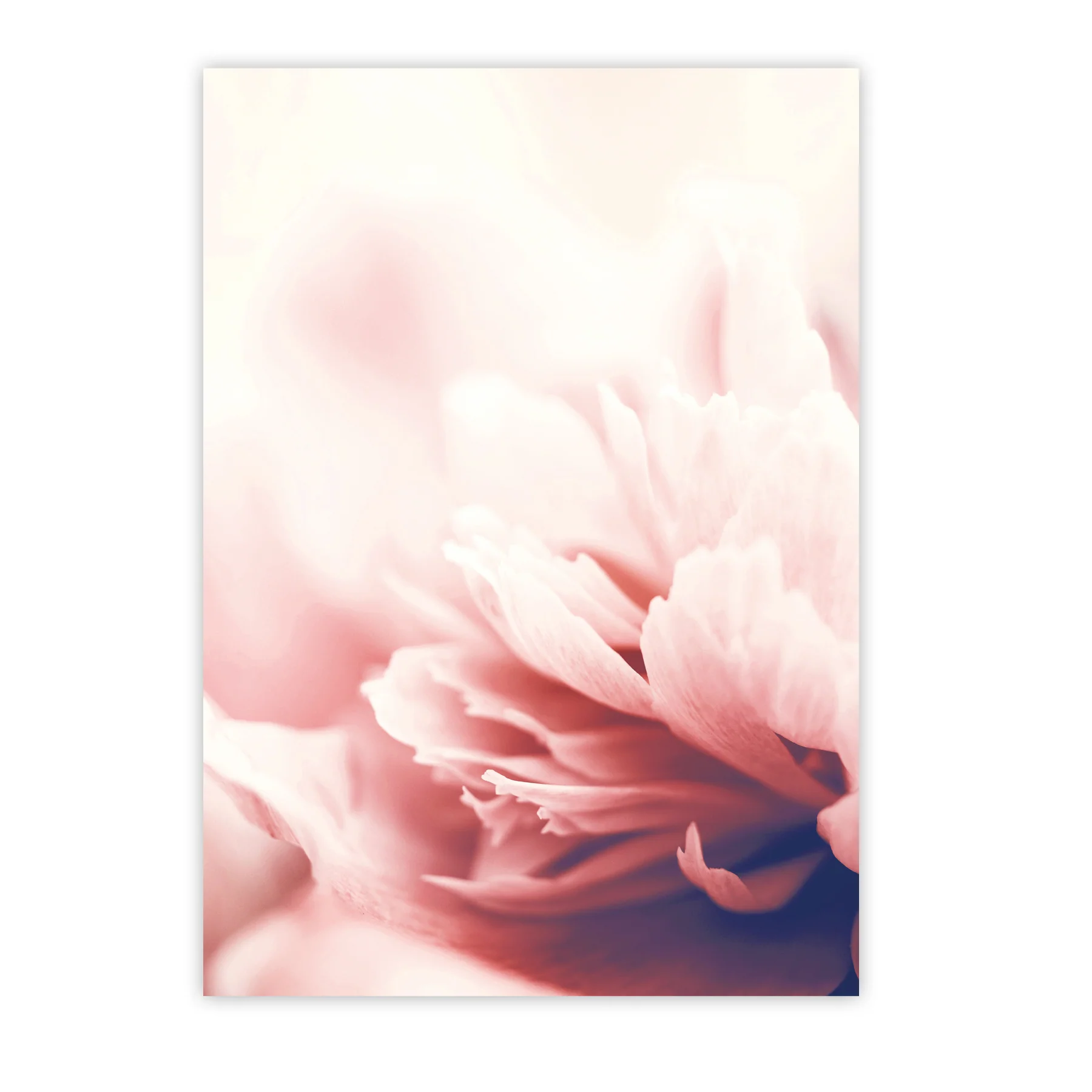 Blumen Kunstdruck Din A4