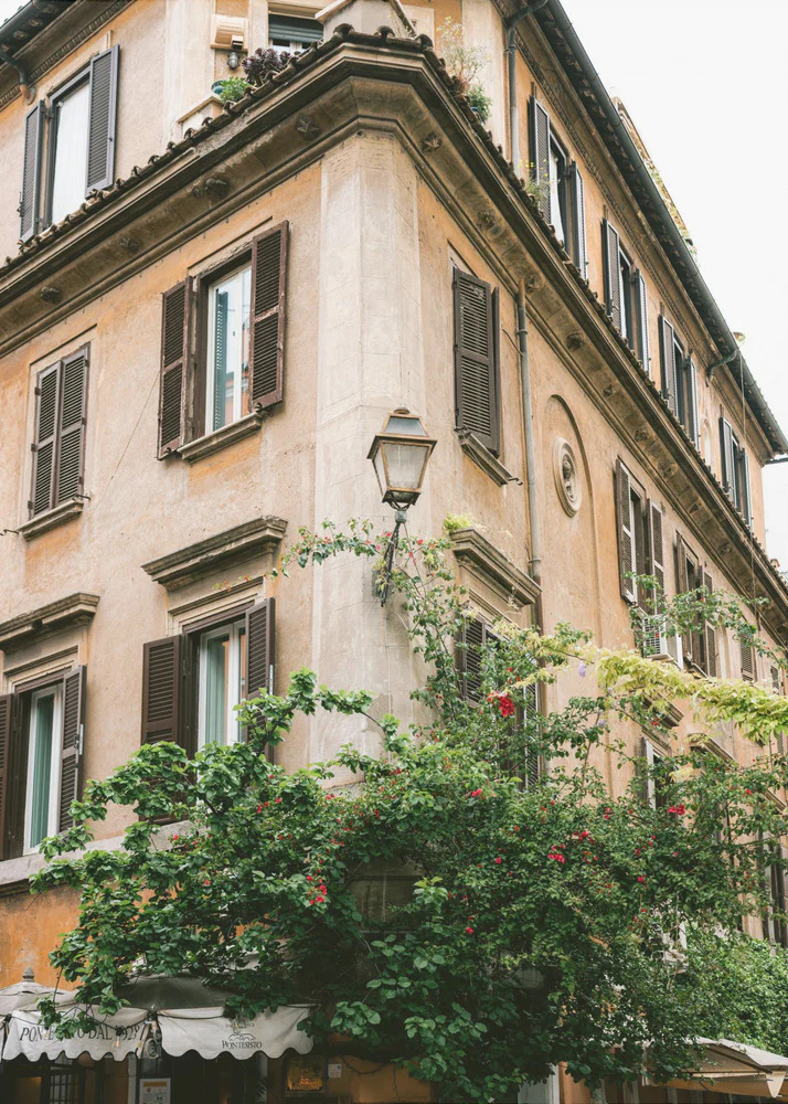 Botanical Trastevere Rome || - Image 6