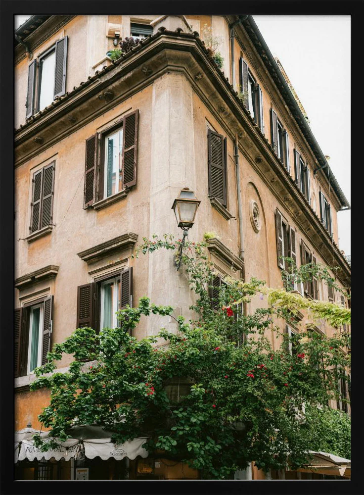Botanical Trastevere Rome || - Image 7