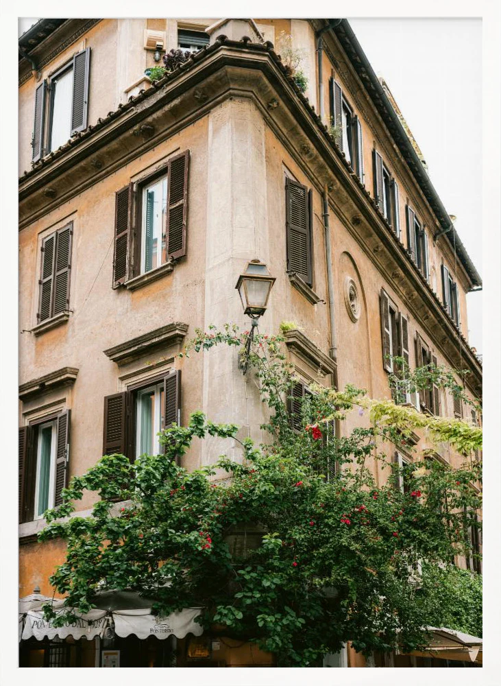 Botanical Trastevere Rome || - Image 8
