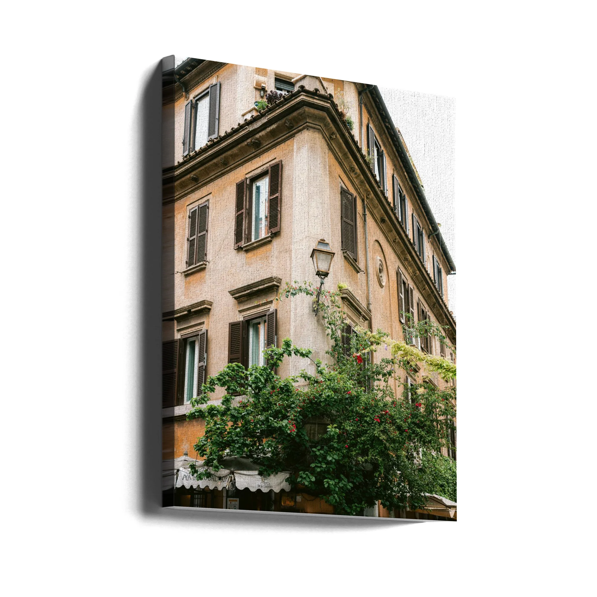 Botanical Trastevere Rome || - Image 9