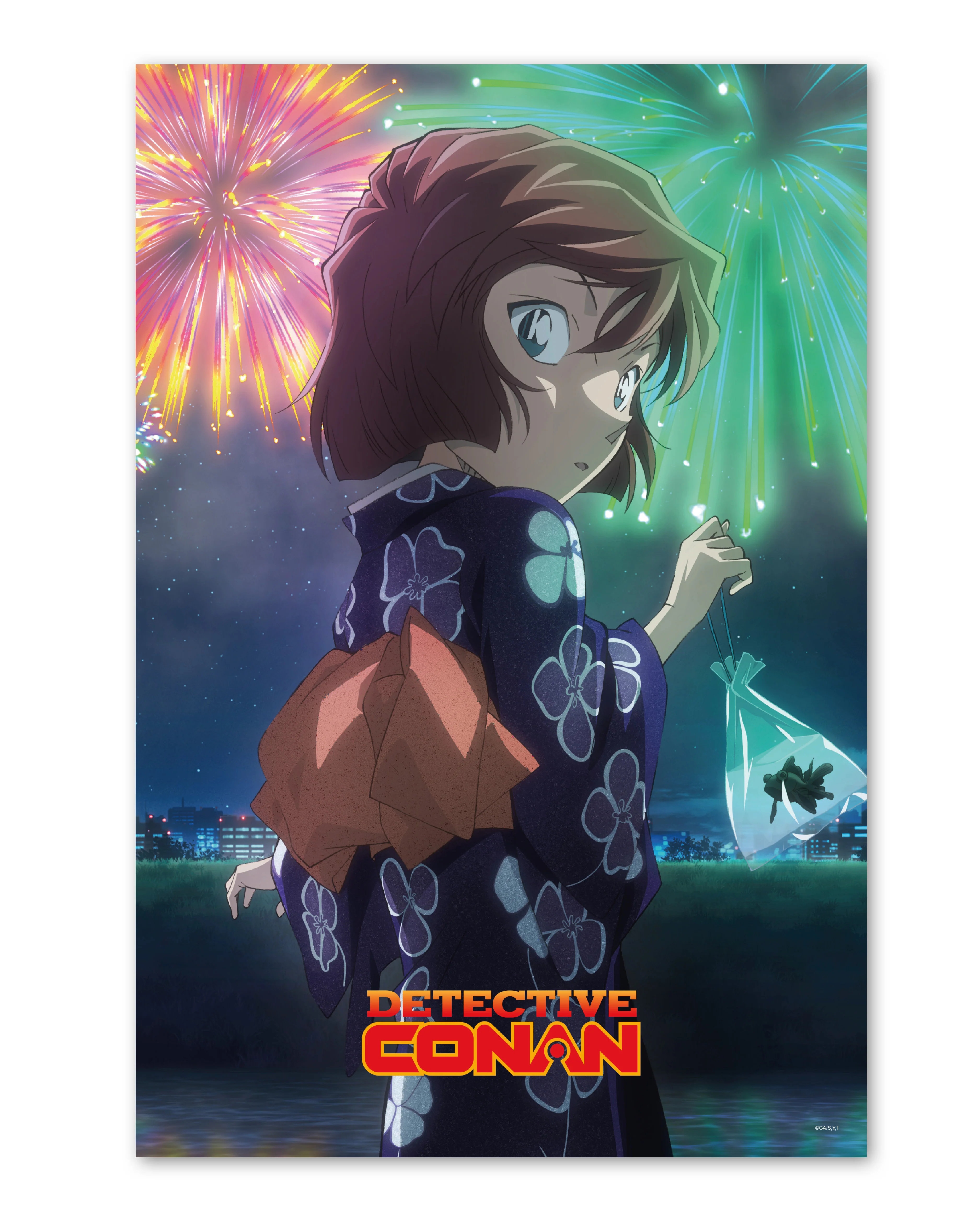 Detective Conan Ai Haibara