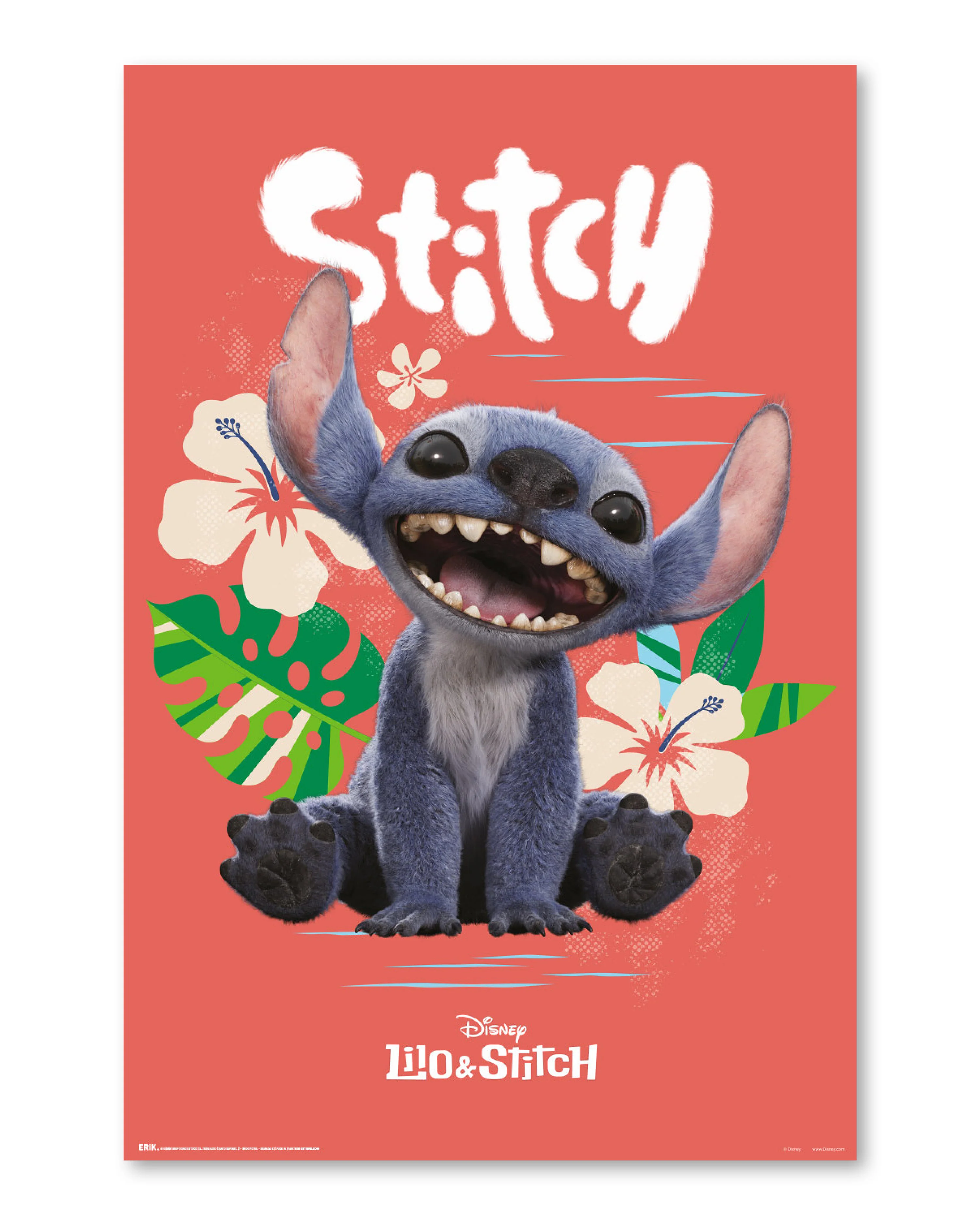 Disney Lilo & Stitch Poster Live Action Movie