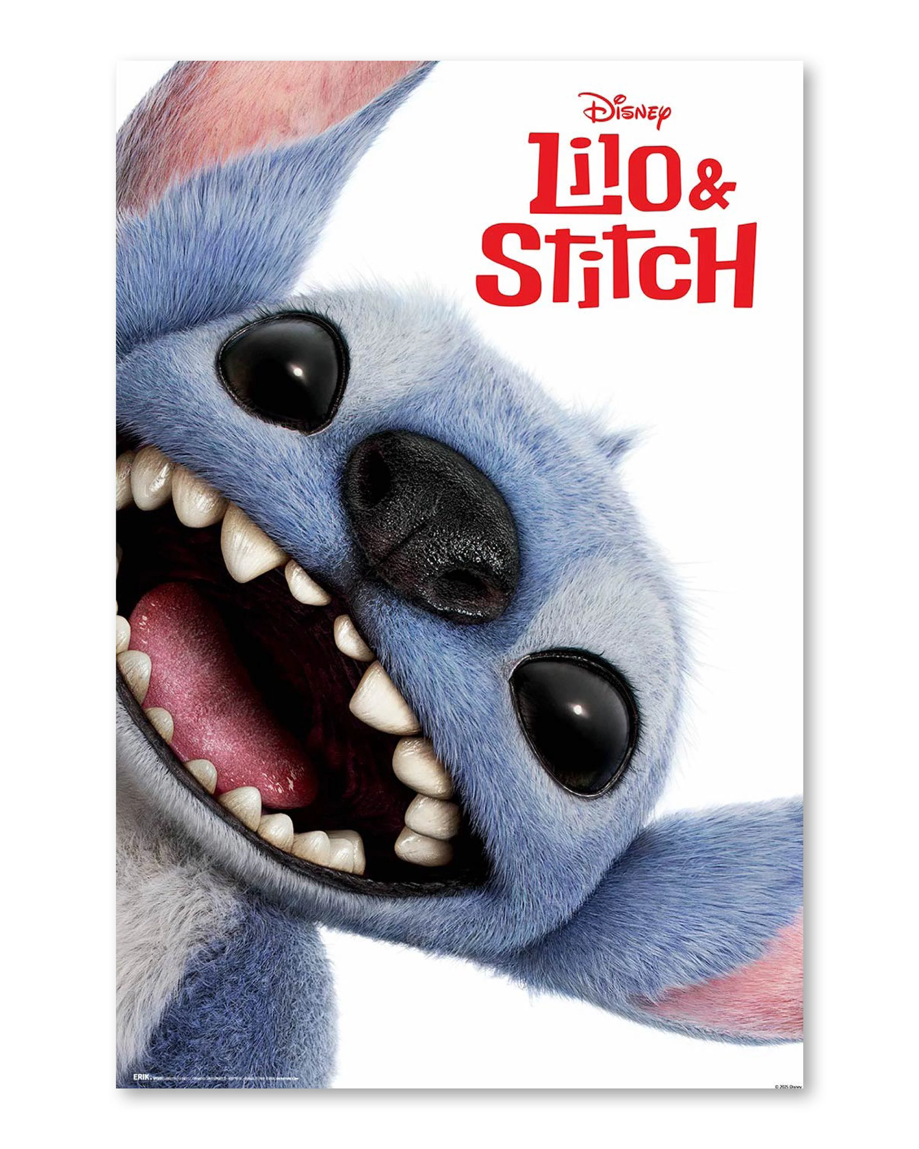 Disney Lilo & Stitch Poster Live Action Movie Teaser