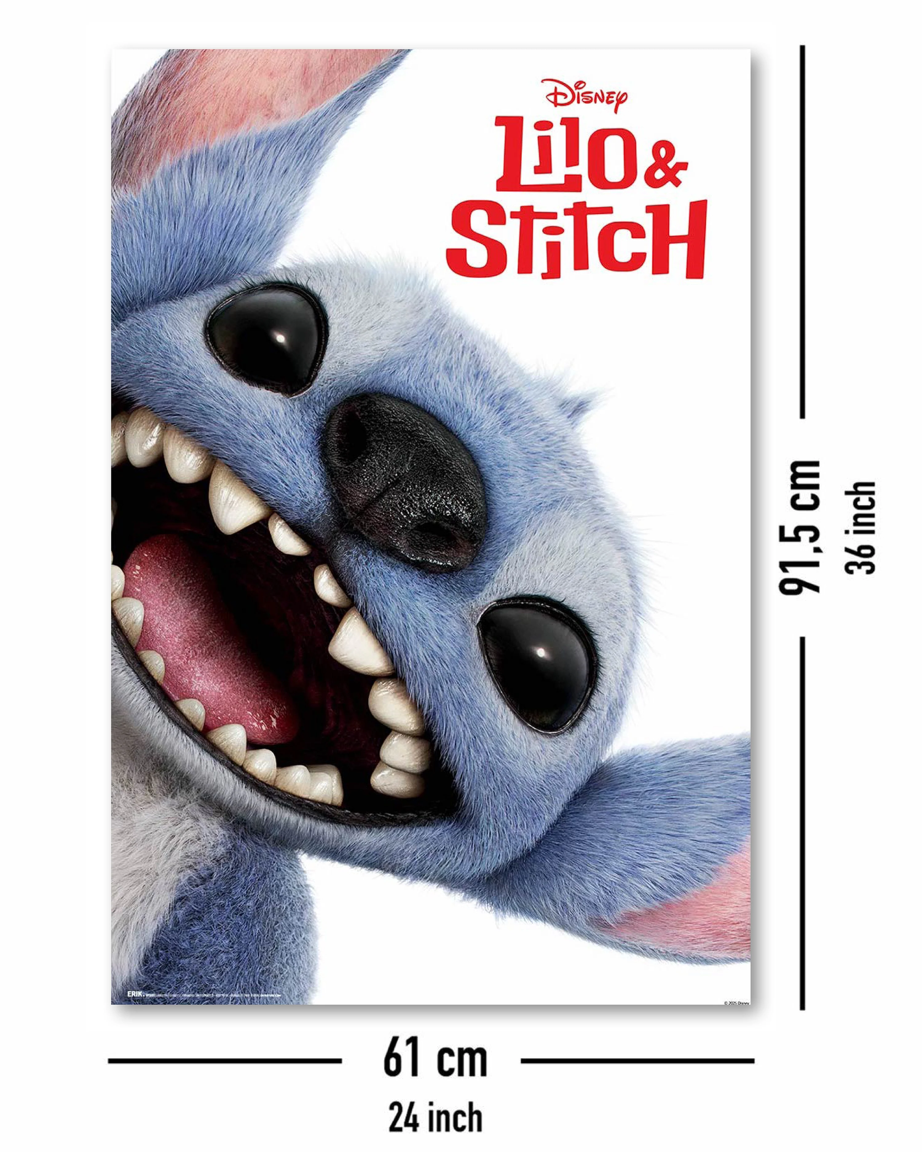 Disney Lilo & Stitch Poster Live Action Movie Teaser - Image 4