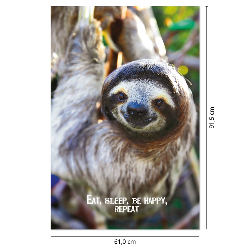 Eat, Sleep, Be Happy, Repeat Faultier Poster - Image 3