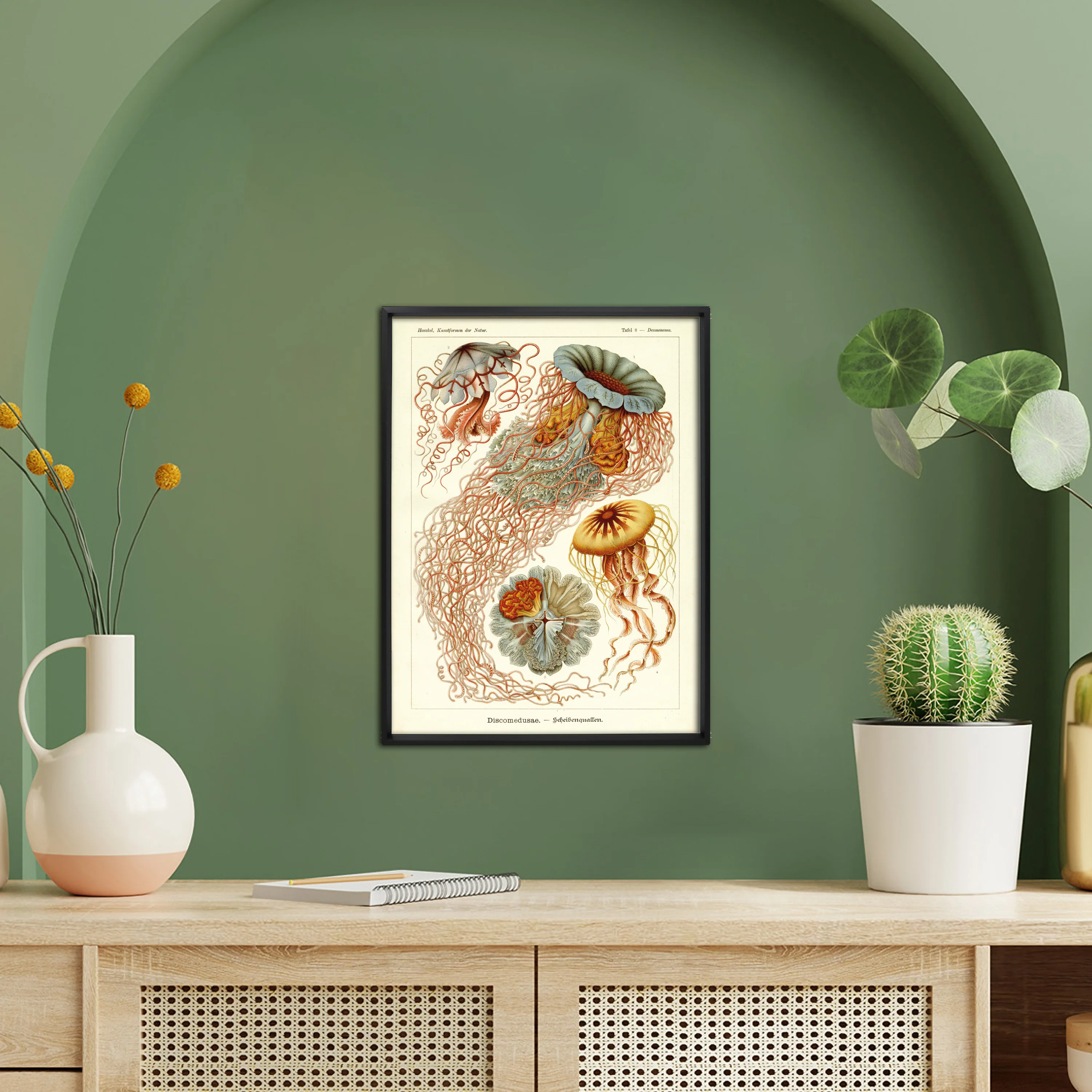 Ernst Haeckel Kunstdruck Discomedusae - Scheibenquallen - Image 4