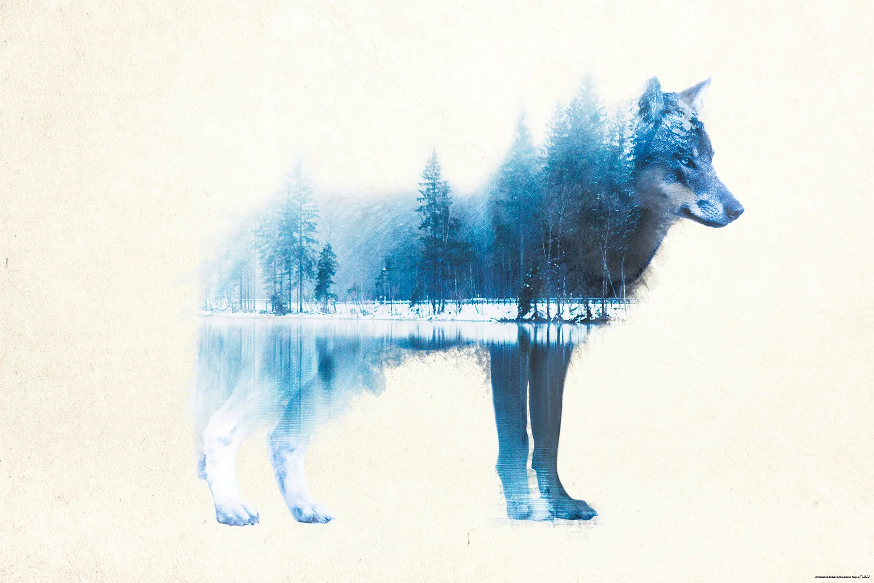 Forest Wolf Poster Madeleine - Image 2