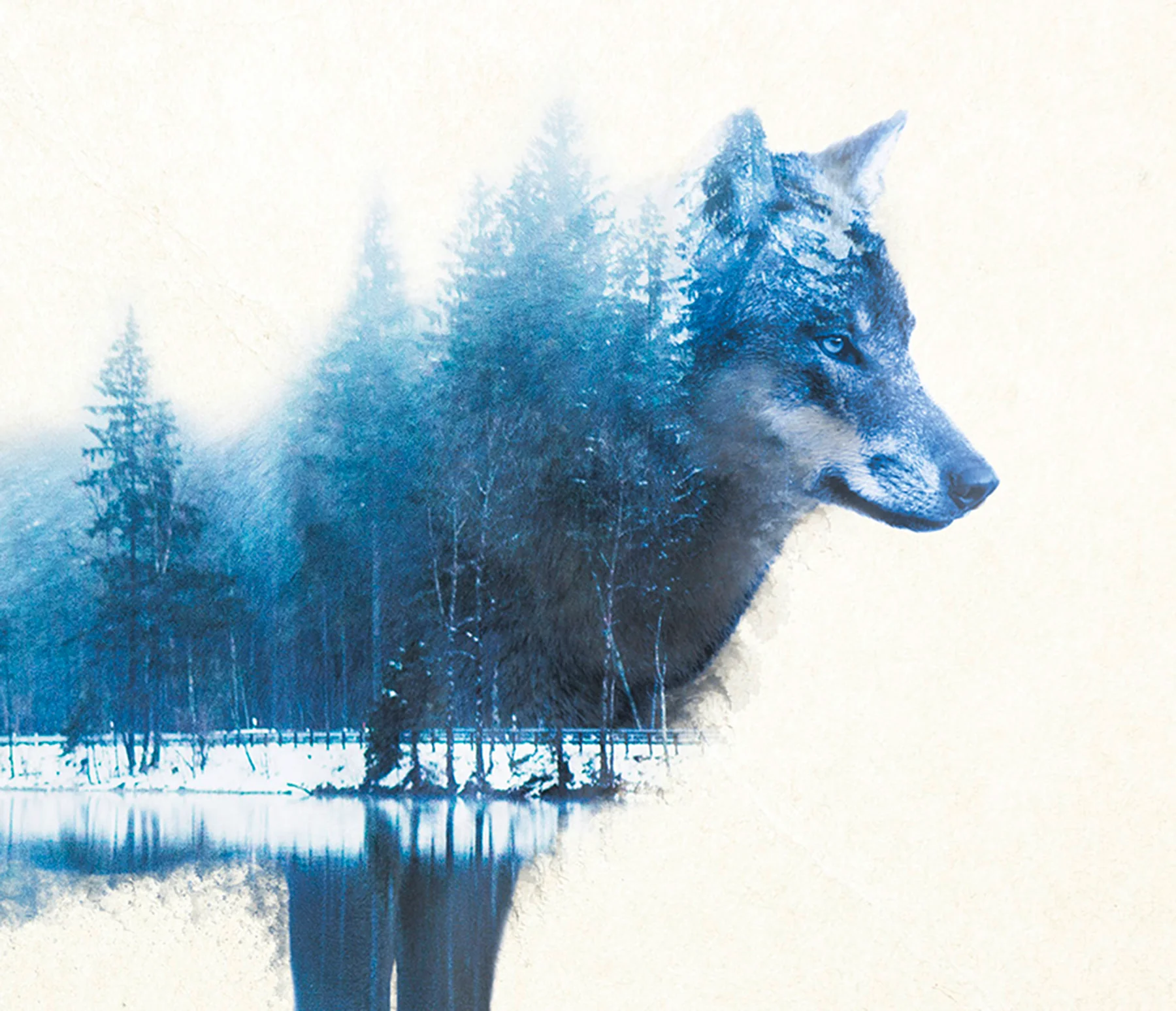 Forest Wolf Poster Madeleine - Image 4