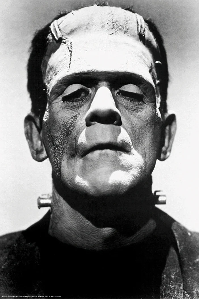 Frankenstein Poster Boris Karloff - Image 6
