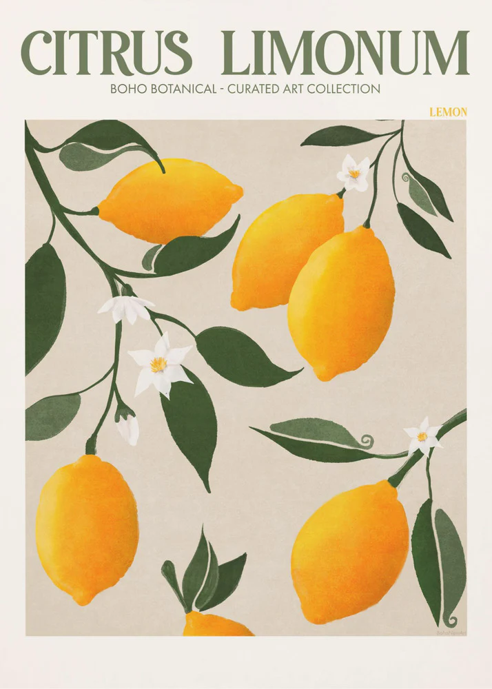 Golden Citrus Delight - Image 5