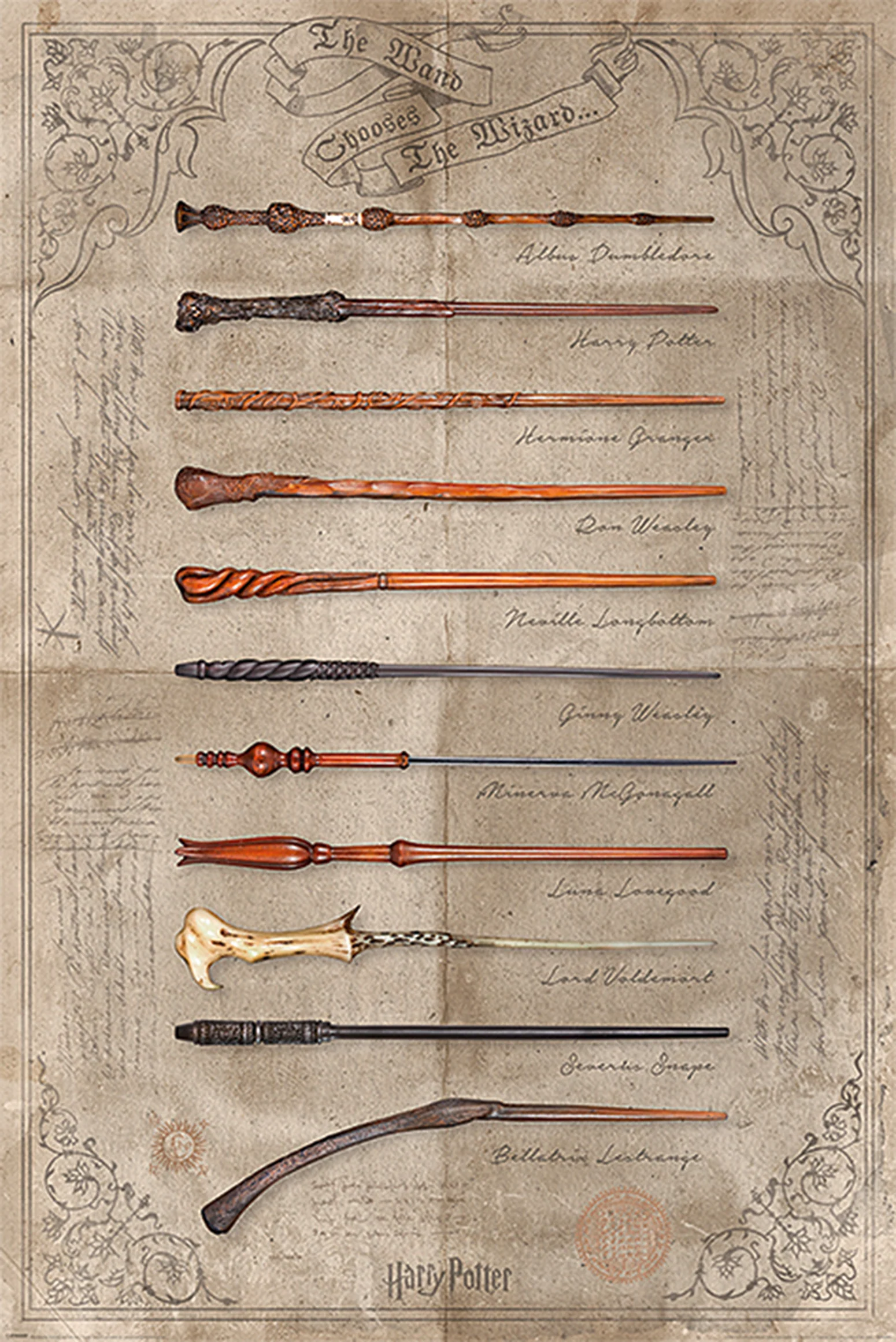 Harry Potter Poster The Wand Chooses The Wizard