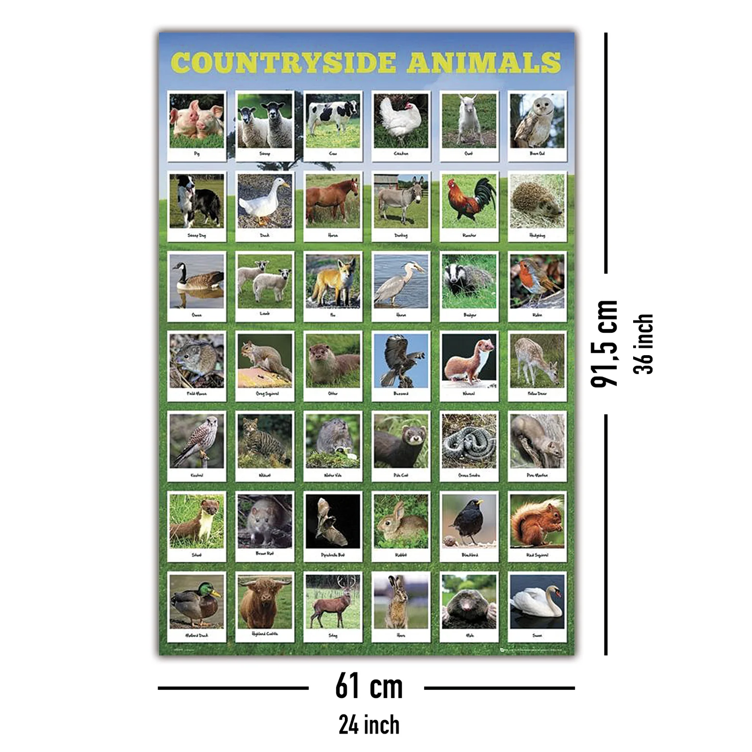 Heimische Tierarten Poster - Image 5