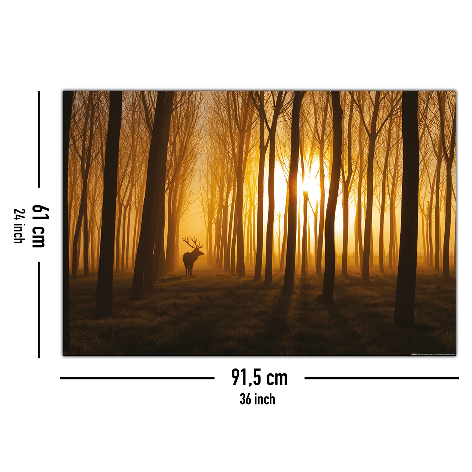 Hirsch im Wald Poster Stefan Miron - Image 5