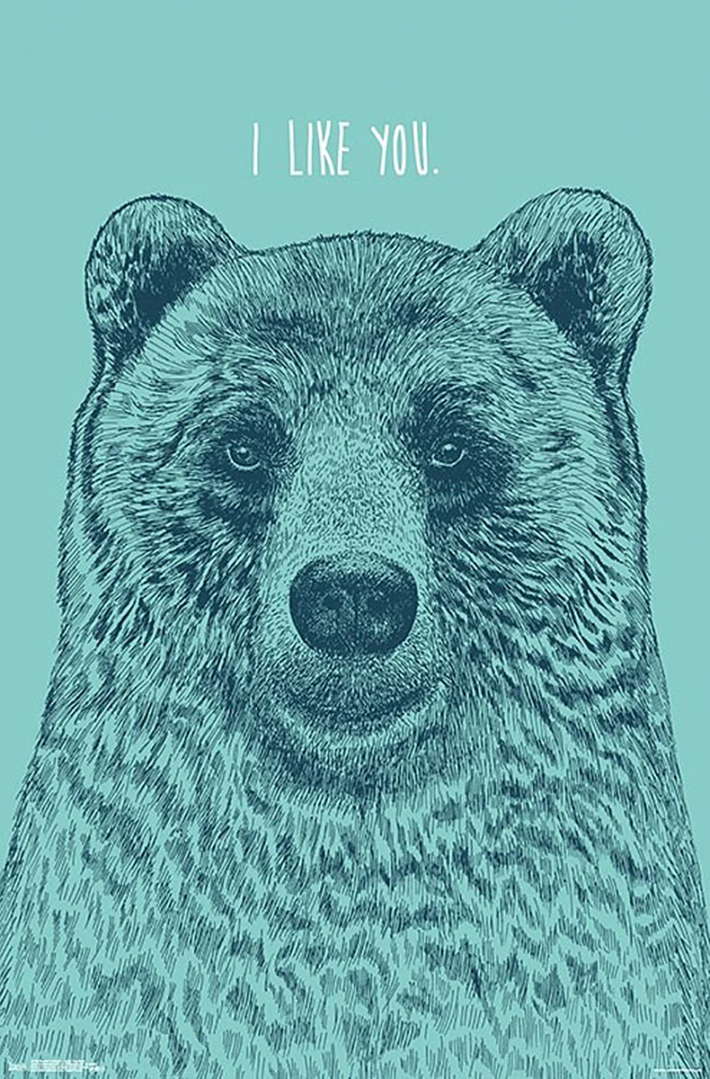 I Like You Bear Poster Rachel Caldwell