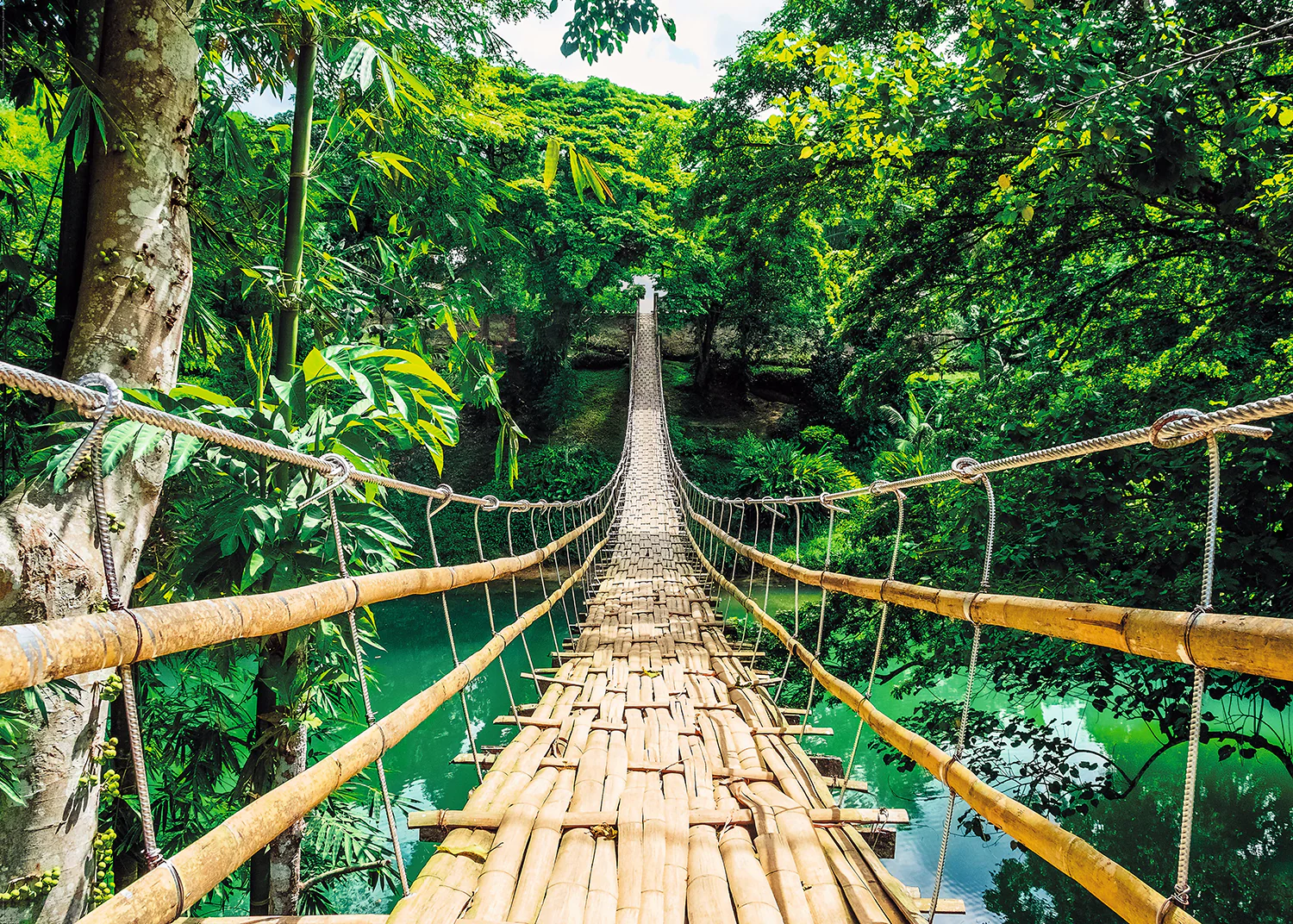 Jungle Bridge Poster