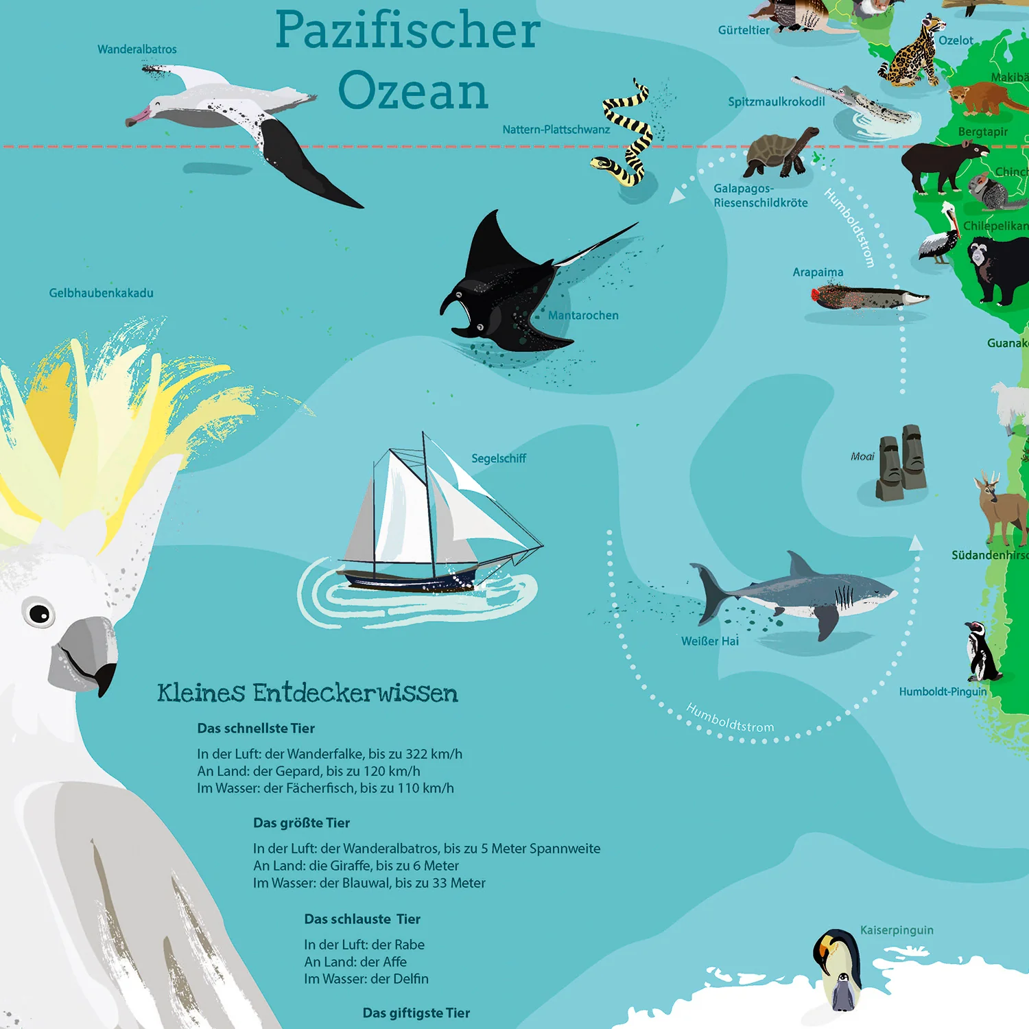 Kinder-Weltkarte XXL Poster Unsere große bunte Welt - Image 8