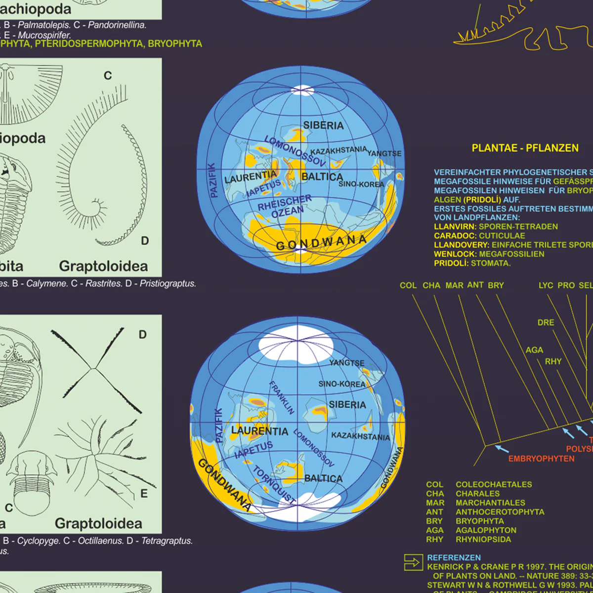 Lebendiger Planet Poster deutsch DIN A1 - Image 3