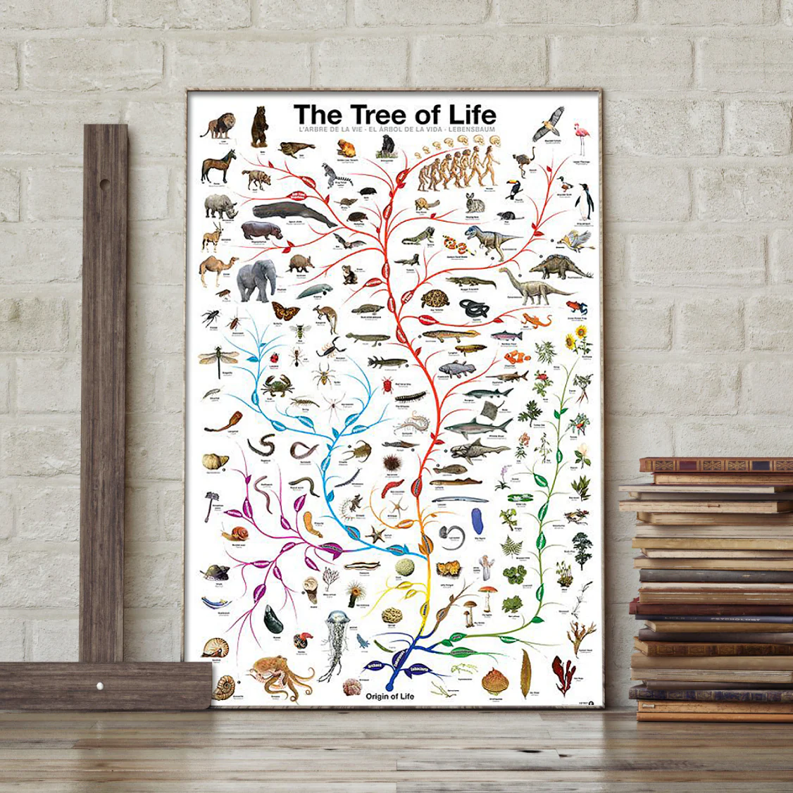 Lebensbaum Poster The Tree of Life - Image 8