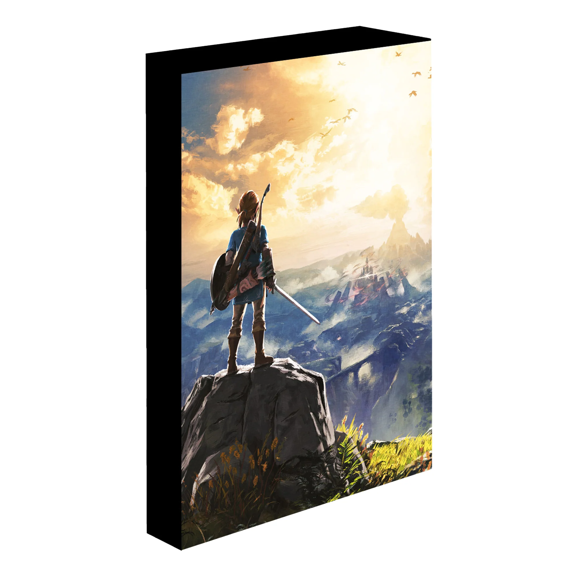 Legend Of Zelda Light Up Canvas Bild Into The Wilds