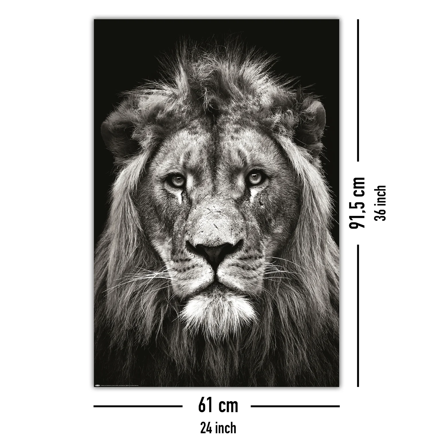 Löwe Poster Black & White Christian Meermann - Image 5