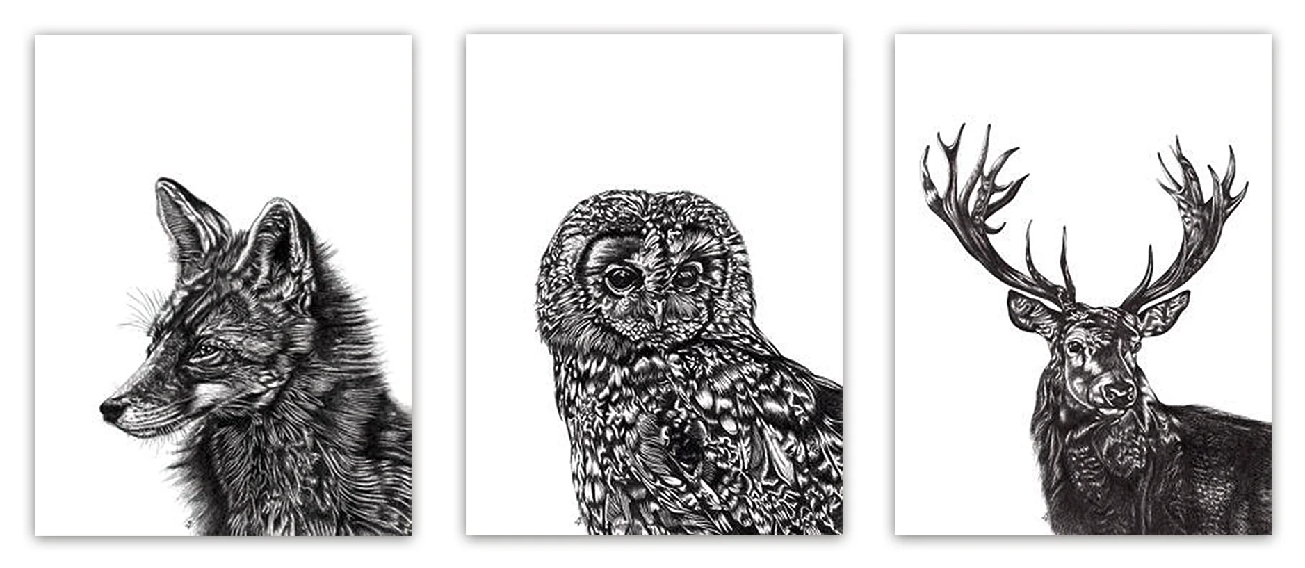 Lucy Francis Kunstdruck Set Tawny Owl, Fox und Stag