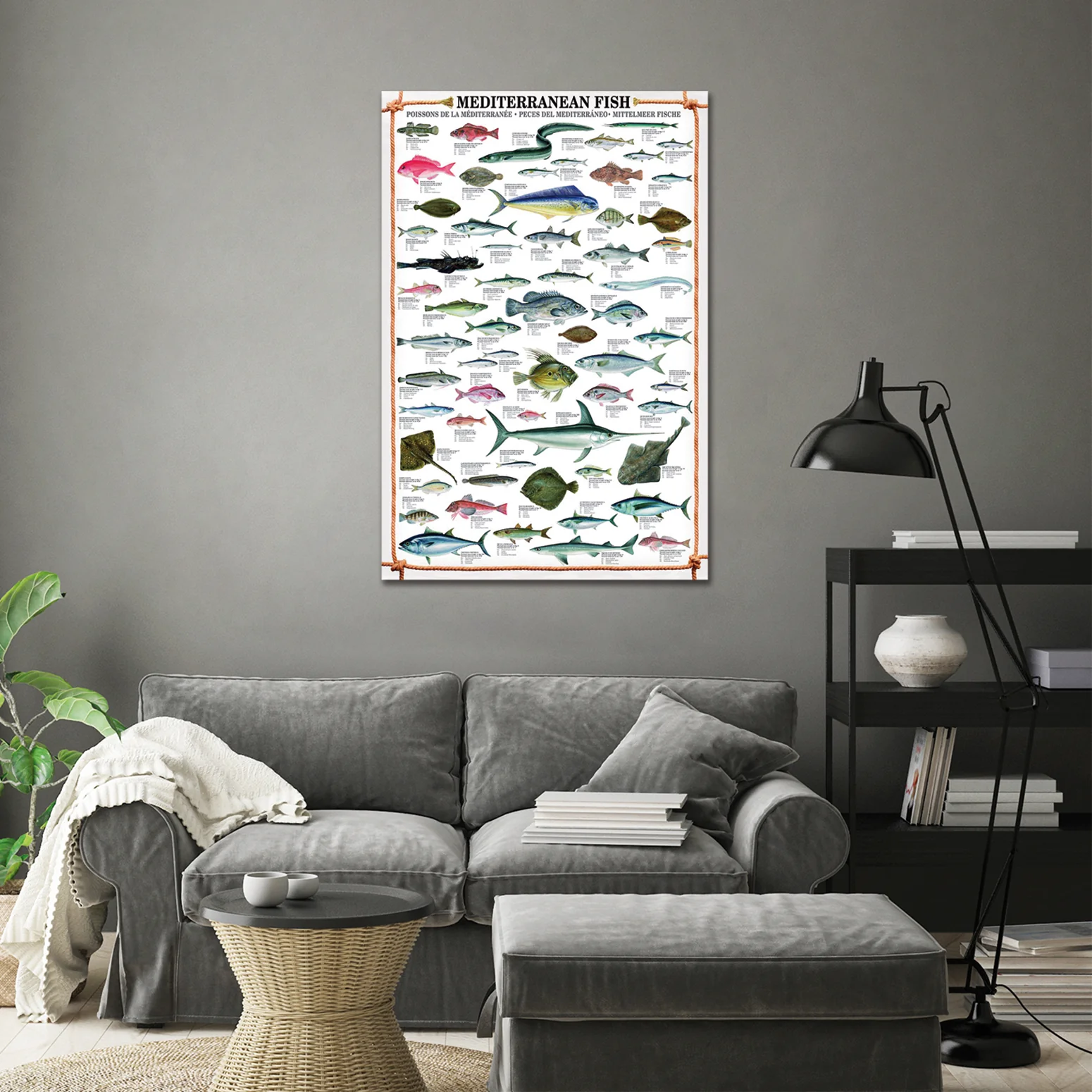 Mediterranean Fish Kunstdruck + 2 St. Posterleisten - Image 3