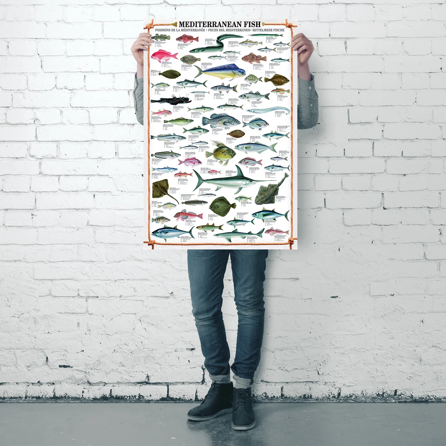 Mediterranean Fish Kunstdruck + 2 St. Posterleisten - Image 9