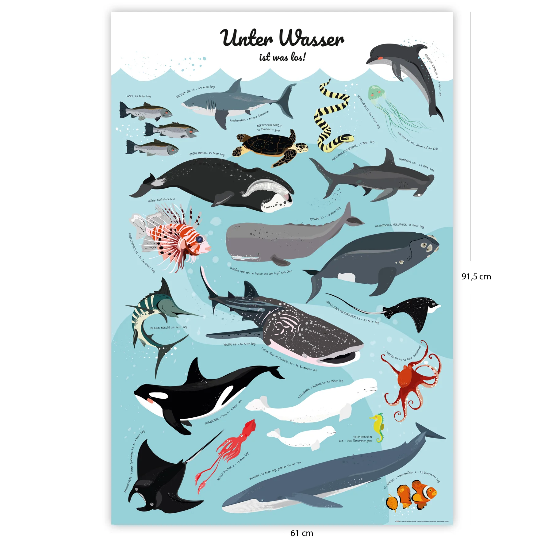 Meerestiere Poster Unter Wasser ist was los! - Image 4