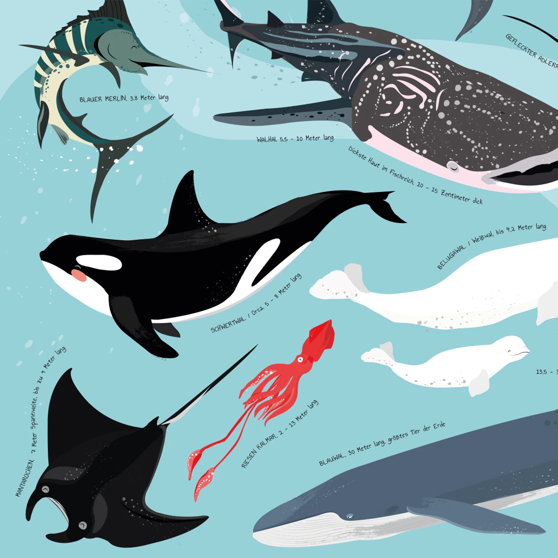 Meerestiere Poster Unter Wasser ist was los! - Image 5