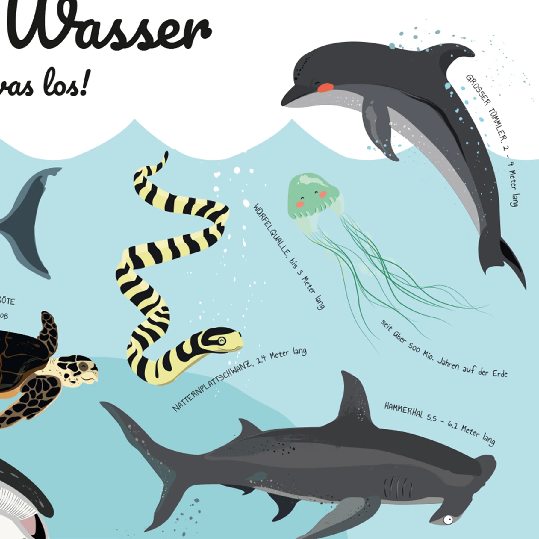 Meerestiere Poster Unter Wasser ist was los! - Image 6