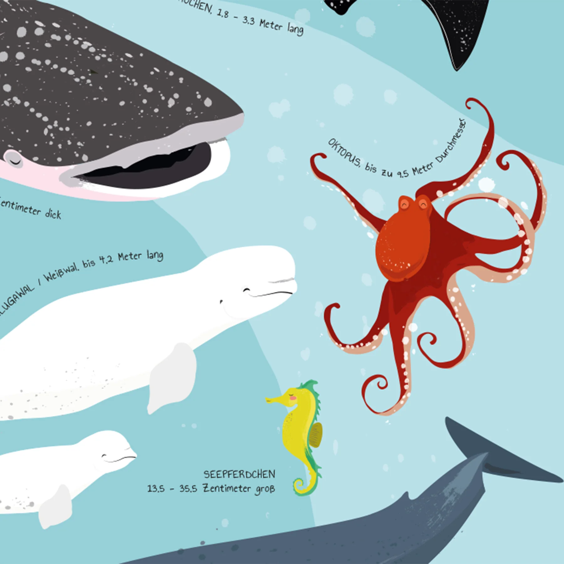 Meerestiere Poster Unter Wasser ist was los! - Image 7