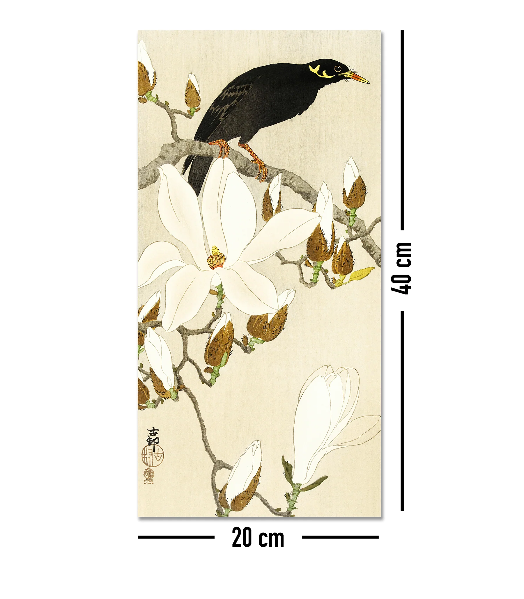 Myna On Magnolia Branch Kunstdruck Ohara Koson - Image 4
