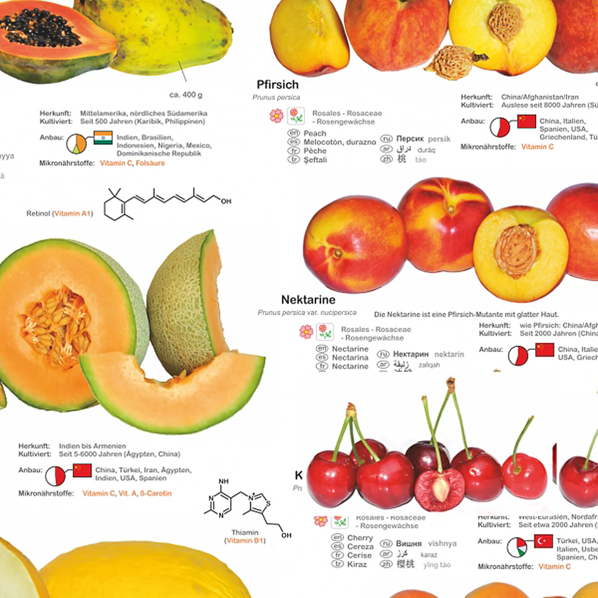 Obst und Nüsse Poster deutsch DIN A1 - Image 2