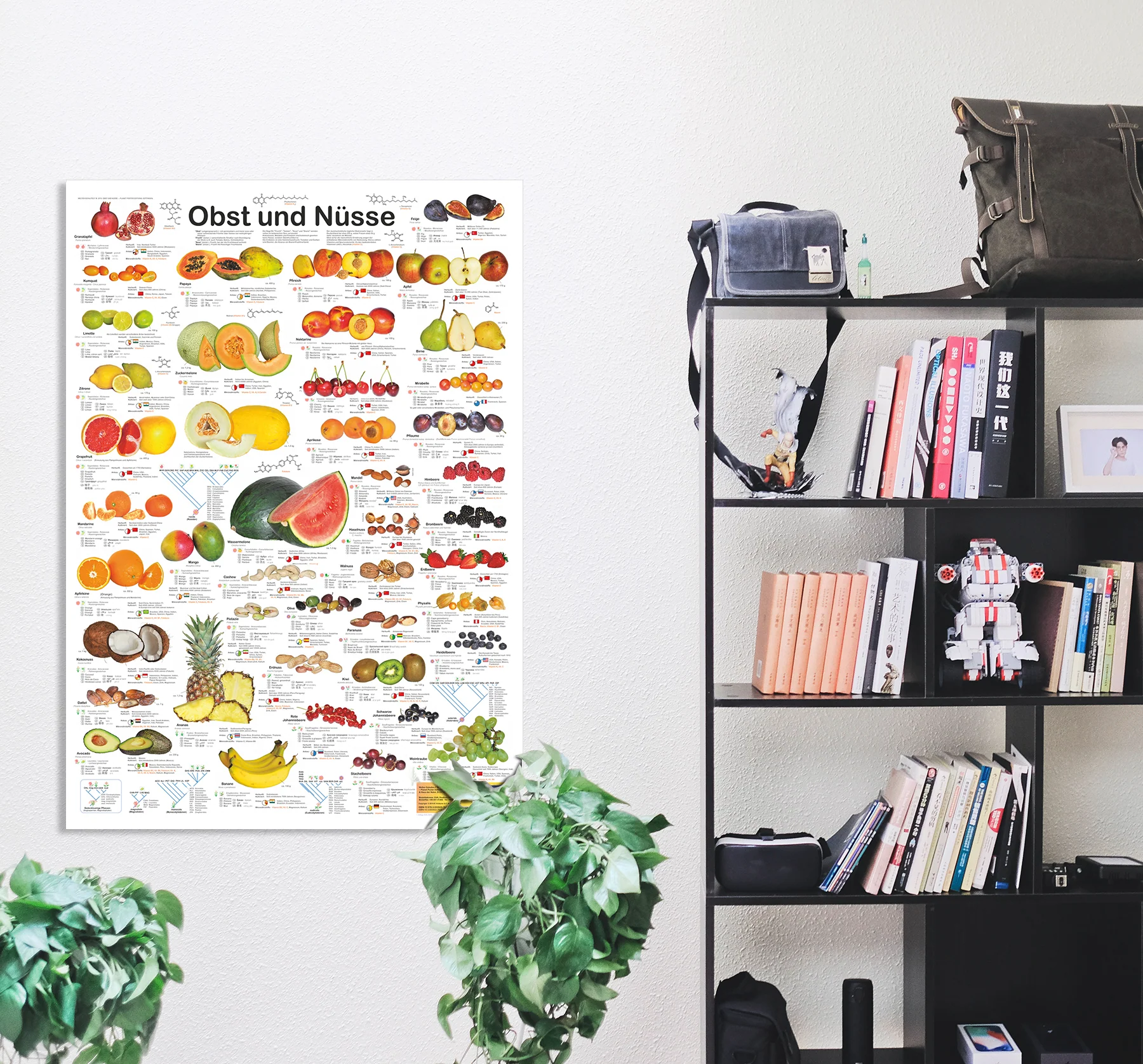 Obst und Nüsse Poster deutsch DIN A1 - Image 4