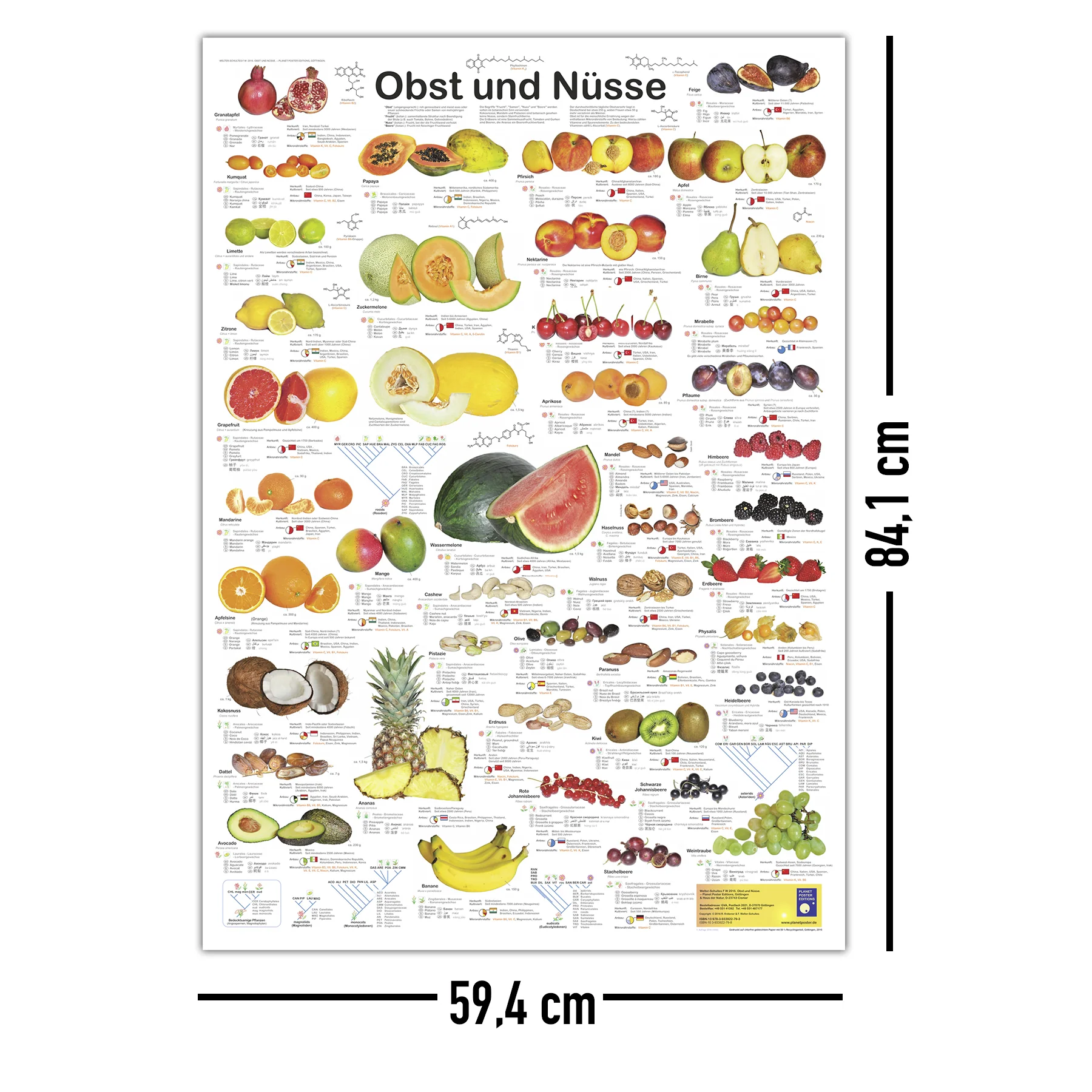Obst und Nüsse Poster deutsch DIN A1 - Image 5