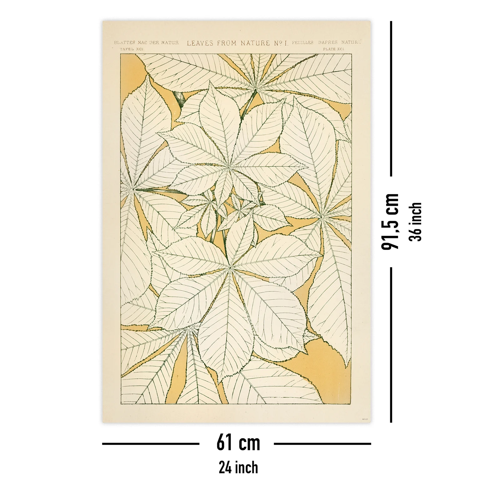 Owen Jones Poster Blätter aus der Natur Nr.1 - Image 5