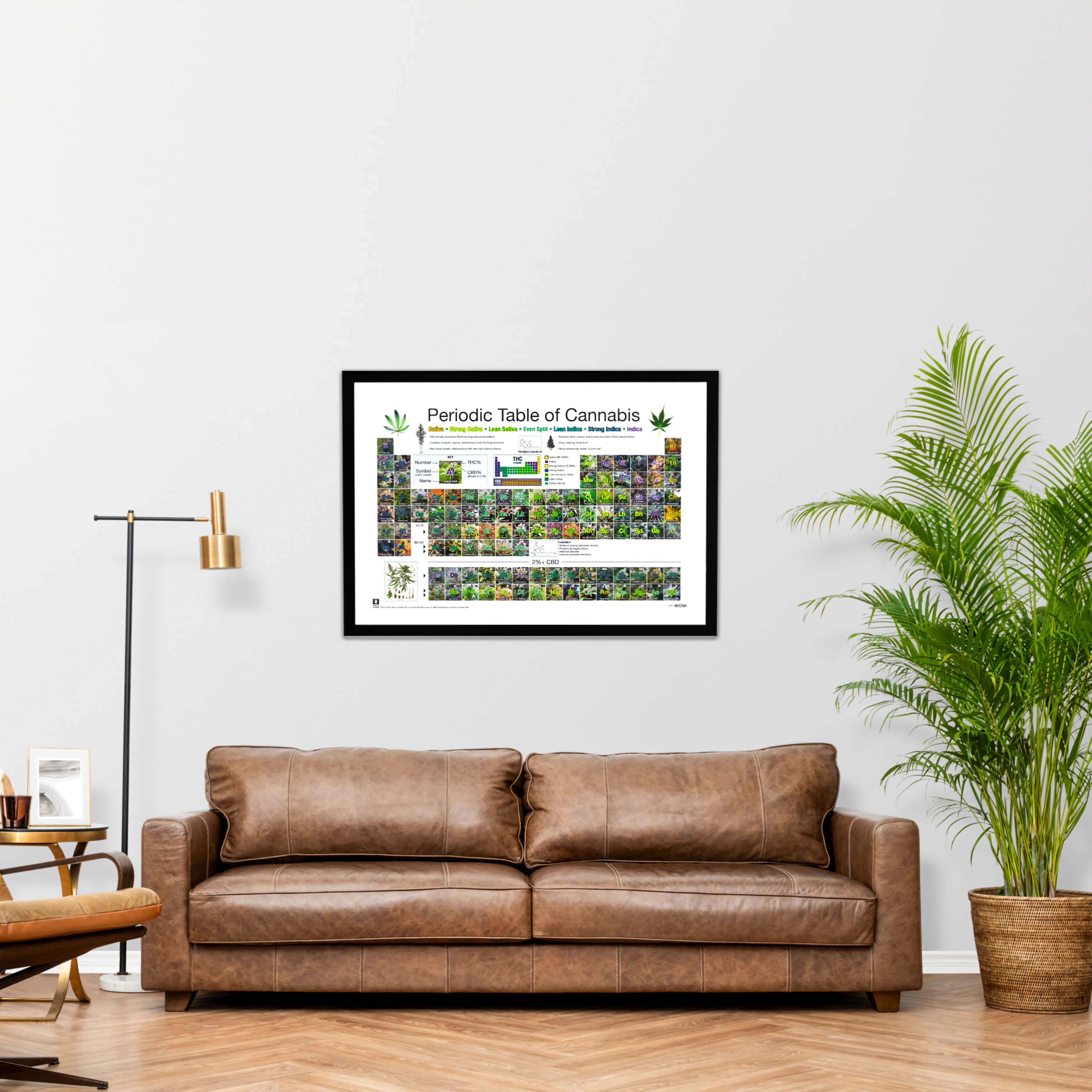 Periodic Table Of Cannabis Periodensystem der Hanfsorten - Image 4