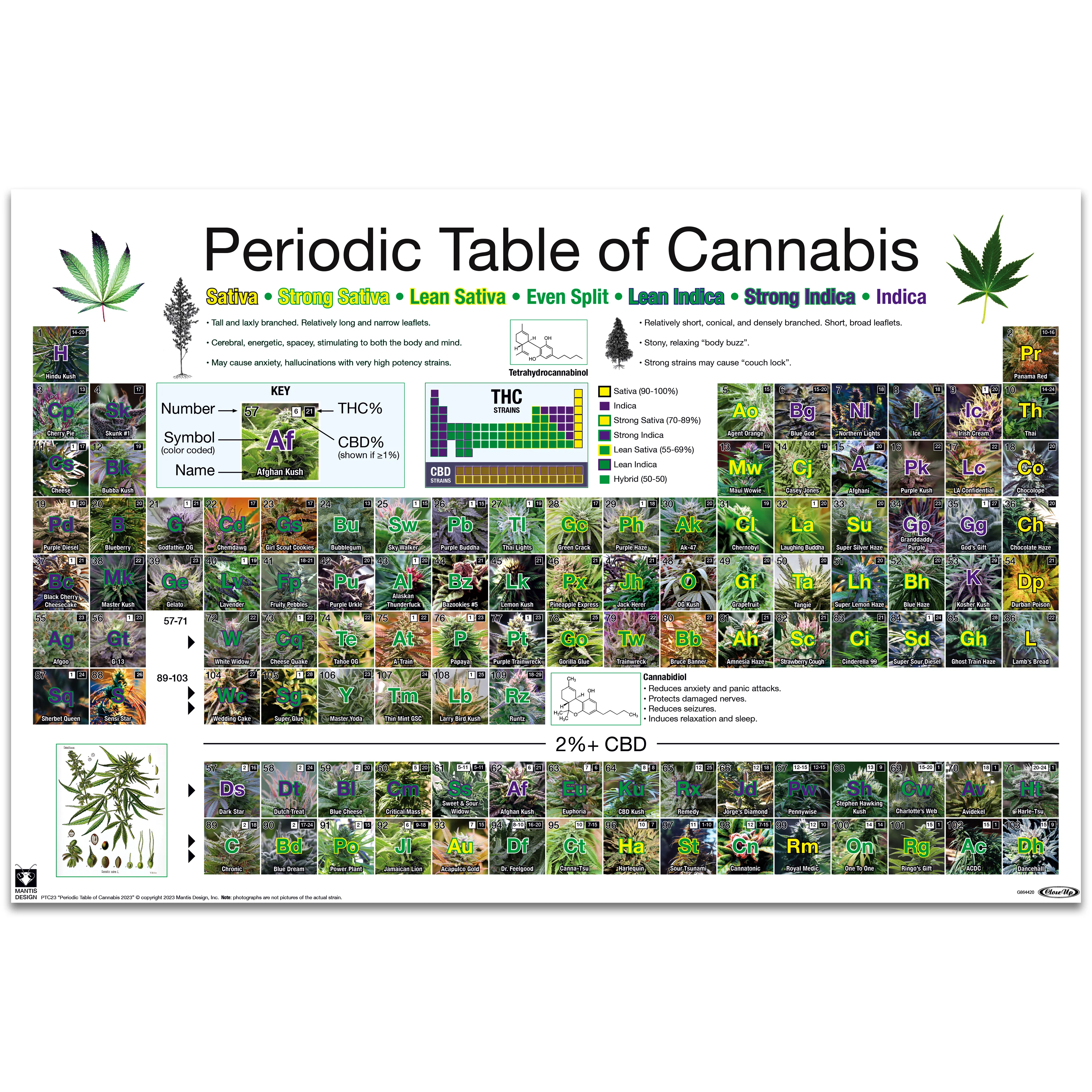 Periodic Table Of Cannabis Periodensystem der Hanfsorten - Image 6