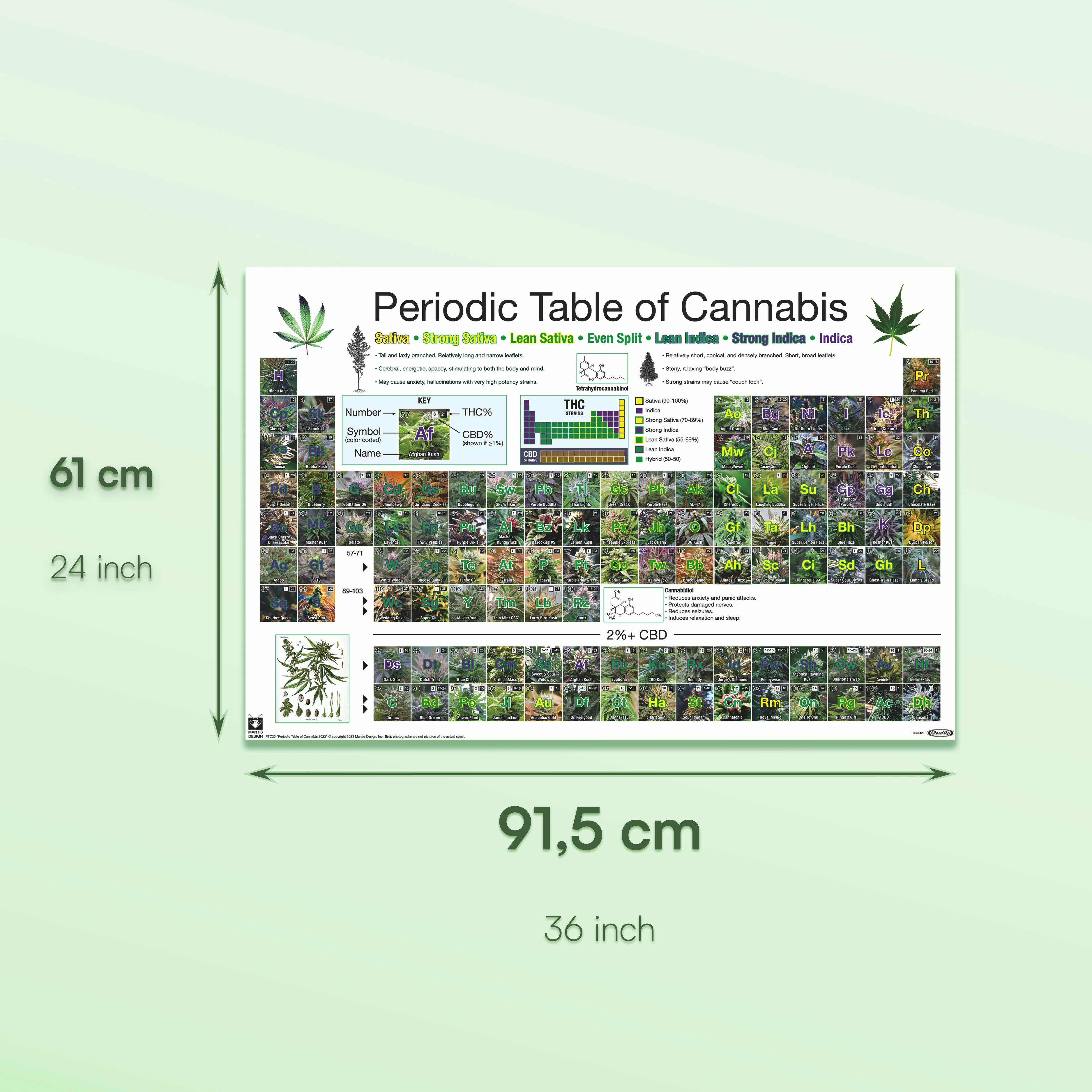 Periodic Table Of Cannabis Periodensystem der Hanfsorten - Image 7