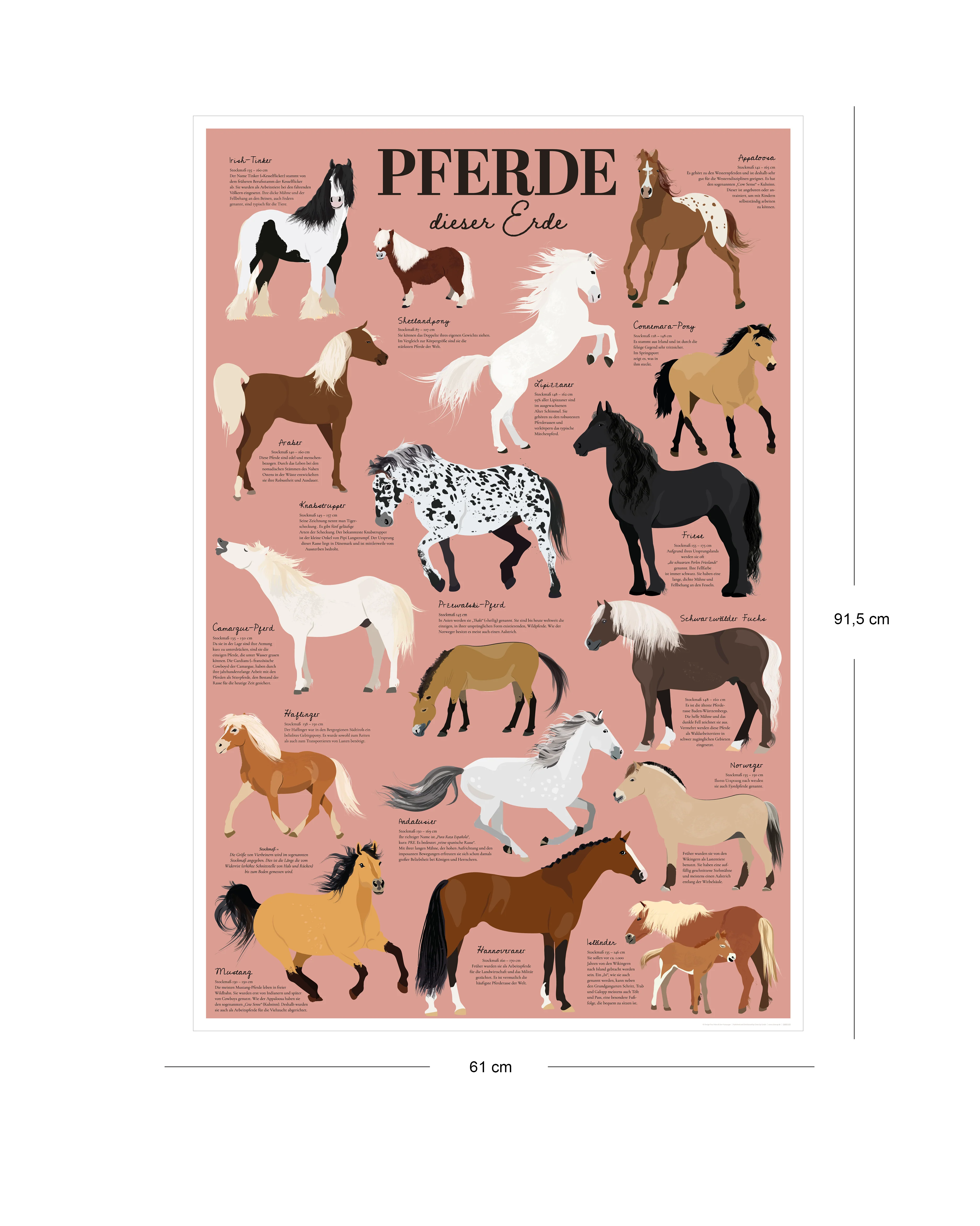Pferde dieser Erde Poster Rosa, 61x91,5 cm - Image 2