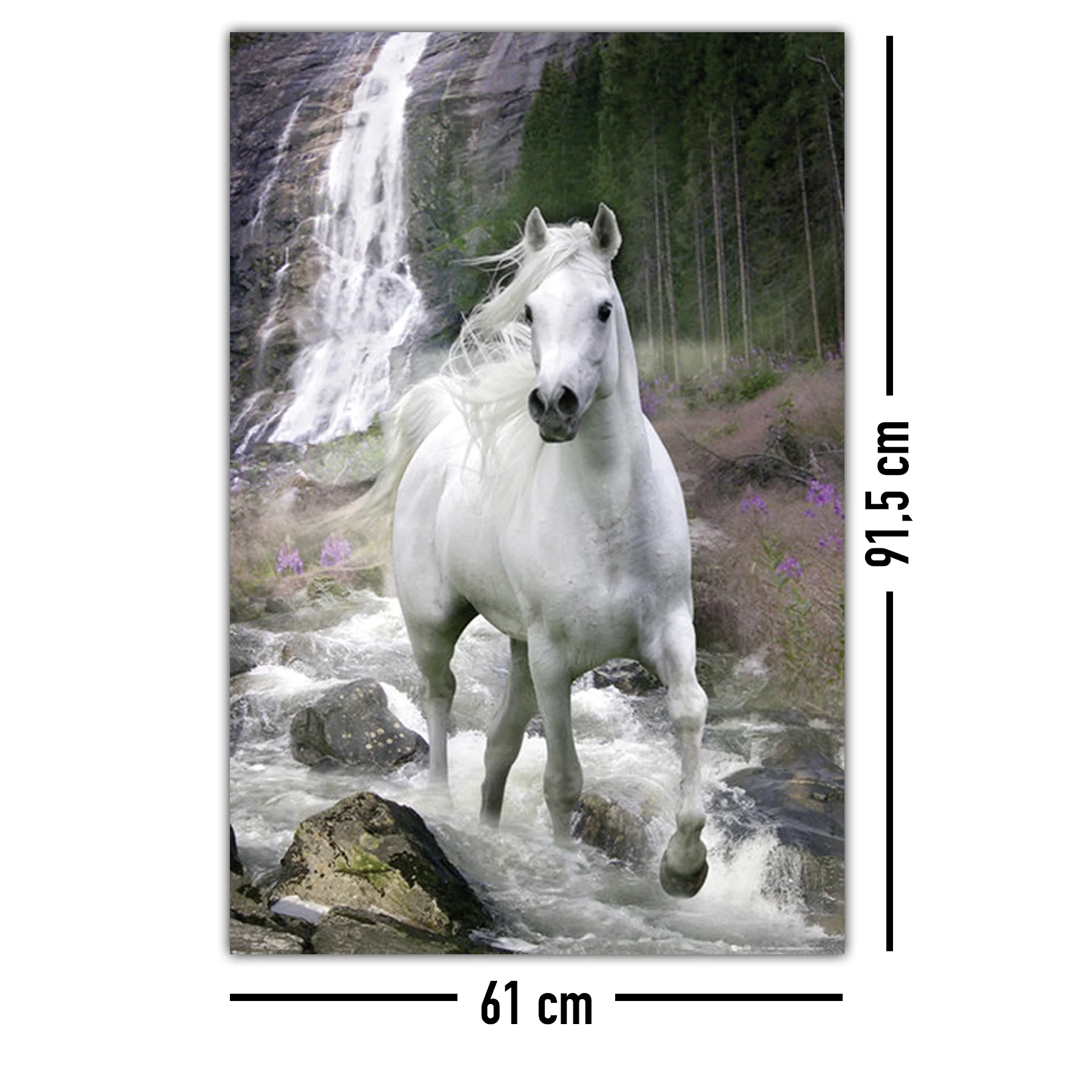Pferde Poster Schimmel - Image 8