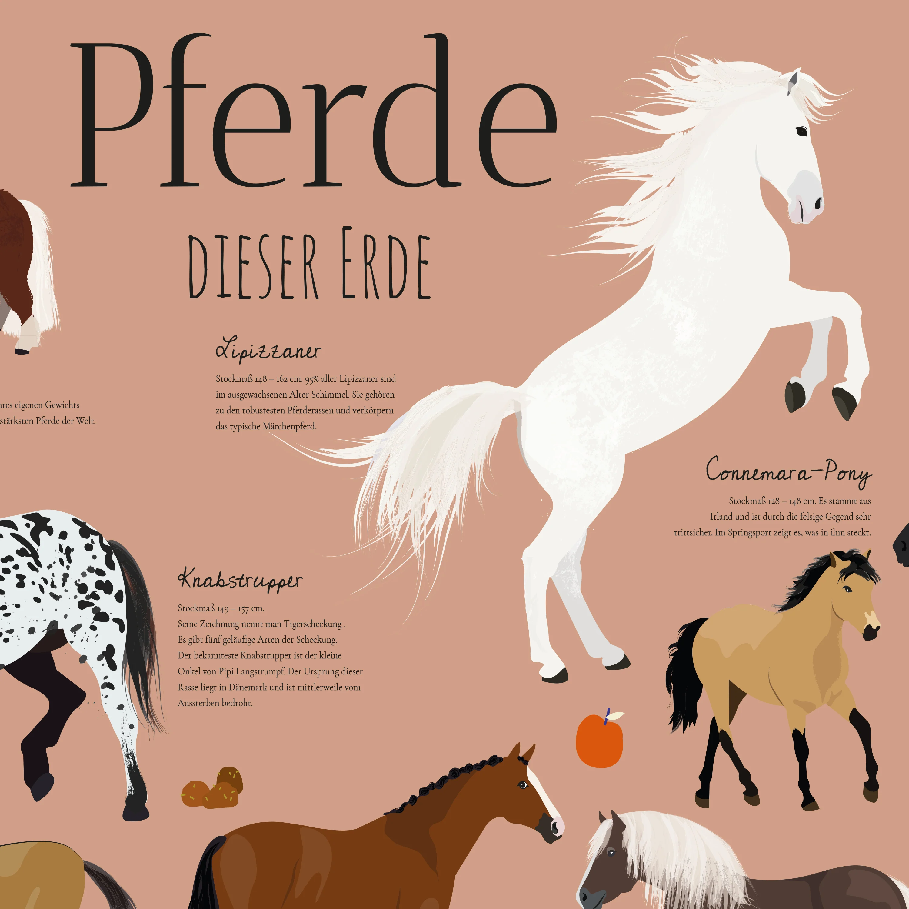 Pferde Schreibtischunterlage 60 x 40 cm - Image 5